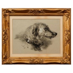 Late 19th Century Framed Charcoal & Gouache Drawing of Russian Wolfhound