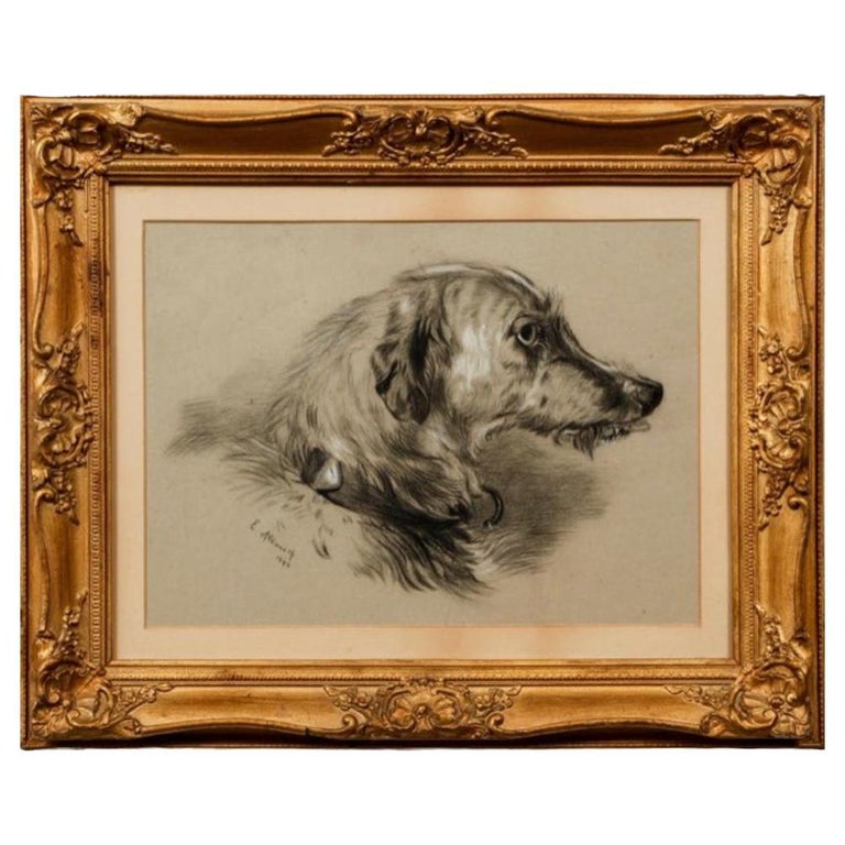 Late 19th Century Framed Charcoal & Gouache Drawing of Russian Wolfhound For Sale
