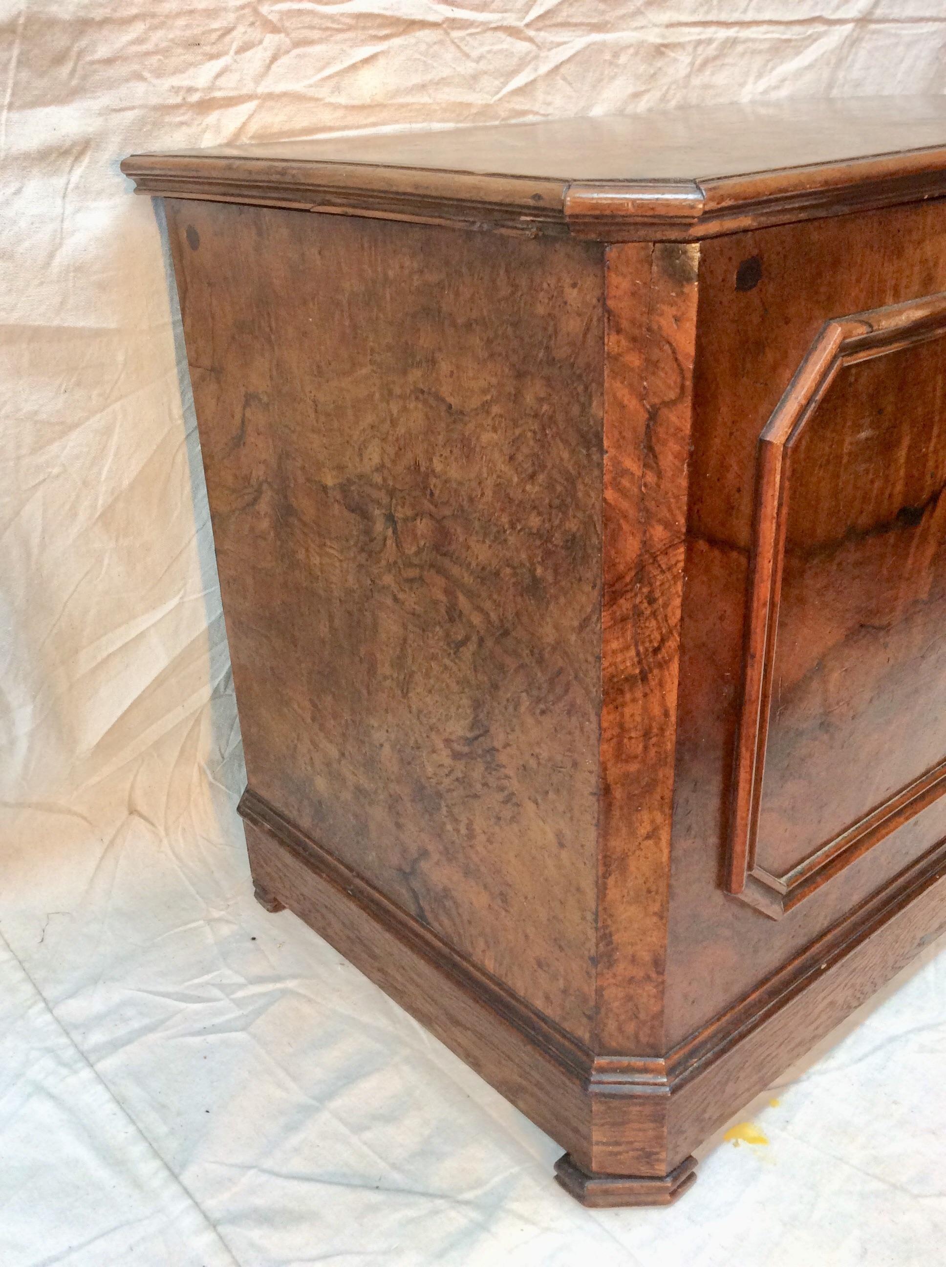 Late 19th Century French Burlwood Trunk 2