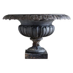 Late 19th Century French Cast Iron Tazza Urn