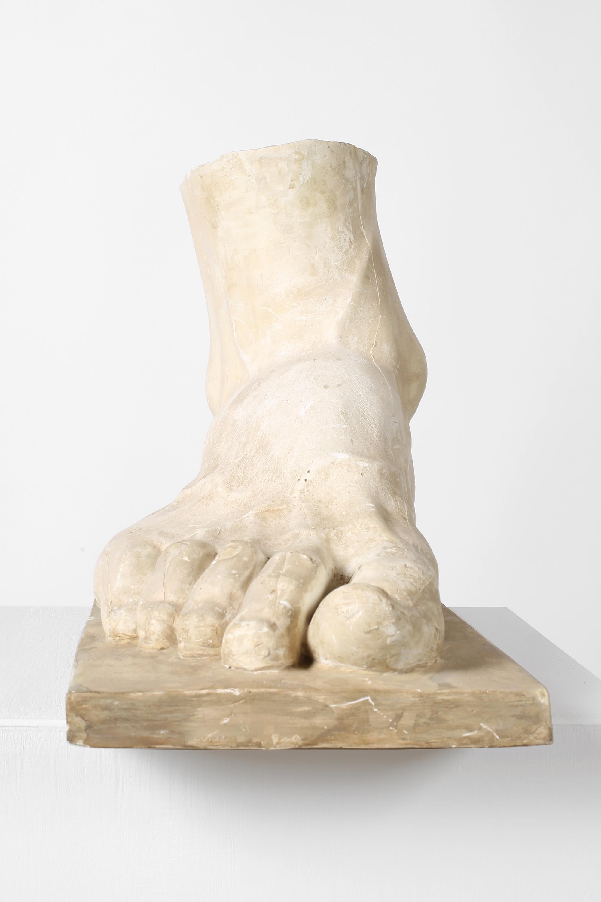 Piede in gesso classico francese della fine del XIX secolo in vendita 8