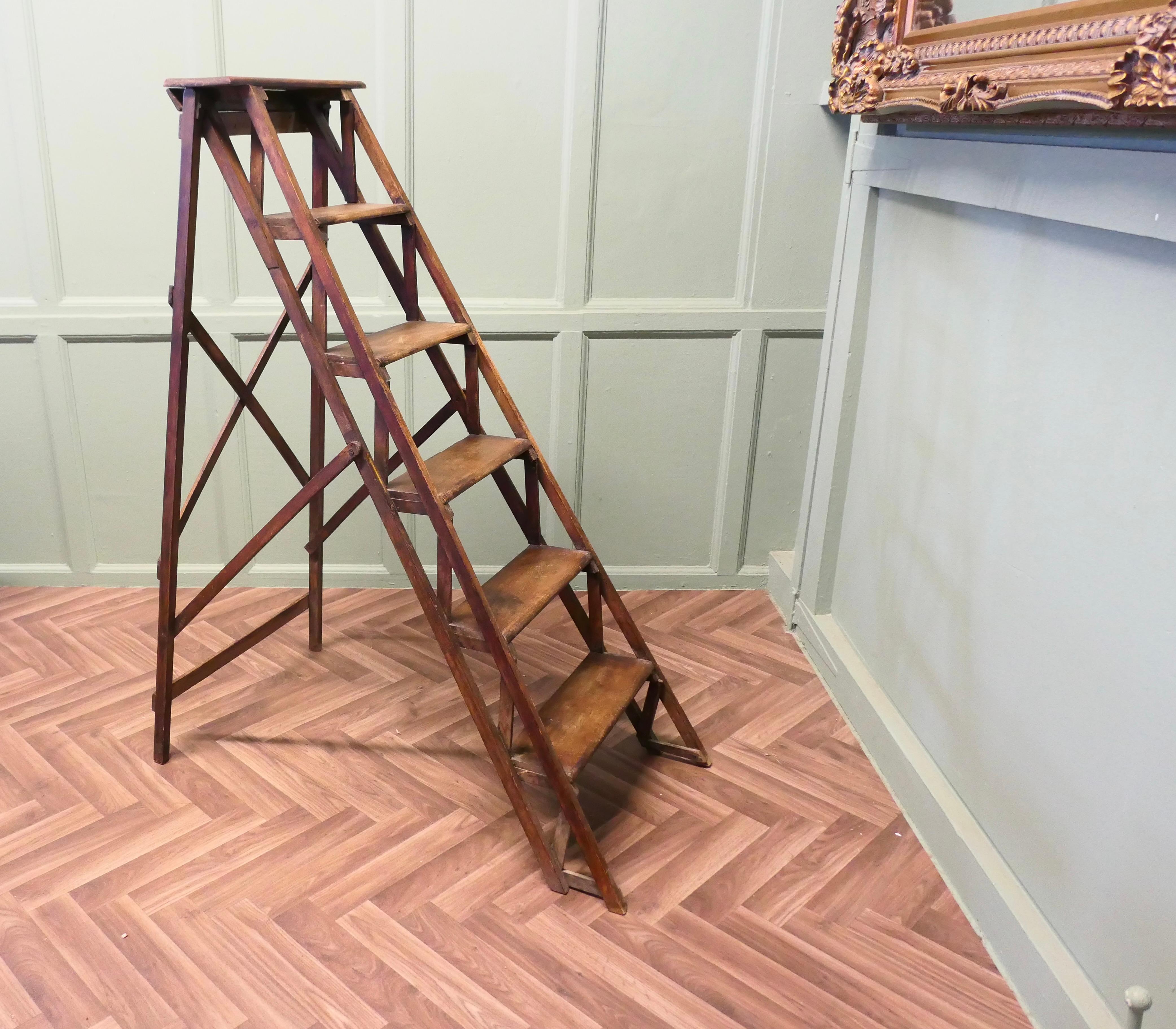Escalera de decorador francesa de finales del siglo XIX

Se trata de una pieza bellamente diseñada, que sería un magnífico elemento decorativo de exposición. La Escalera está fabricada en Haya que se ha oscurecido con los años, tiene una acción muy