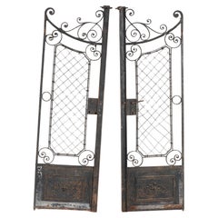 Late 19th Century French Garden Gate Iron Doors