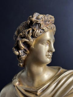Late 19th Century French Grand Tour Apollo Belvedere Bust on Marble Base - 10 In