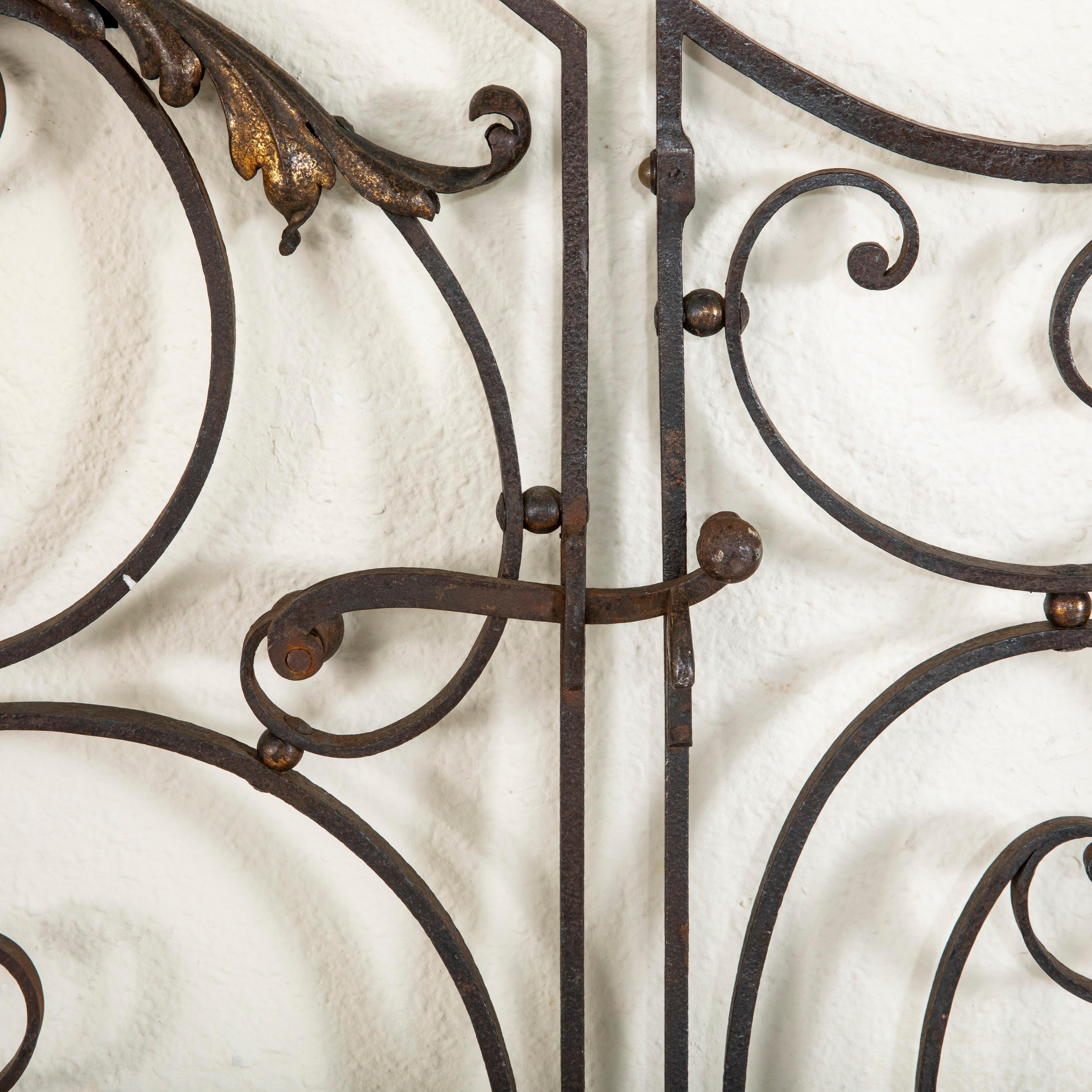 Late 19th Century French Hand Forged Iron Gate with Gold Detailing 7