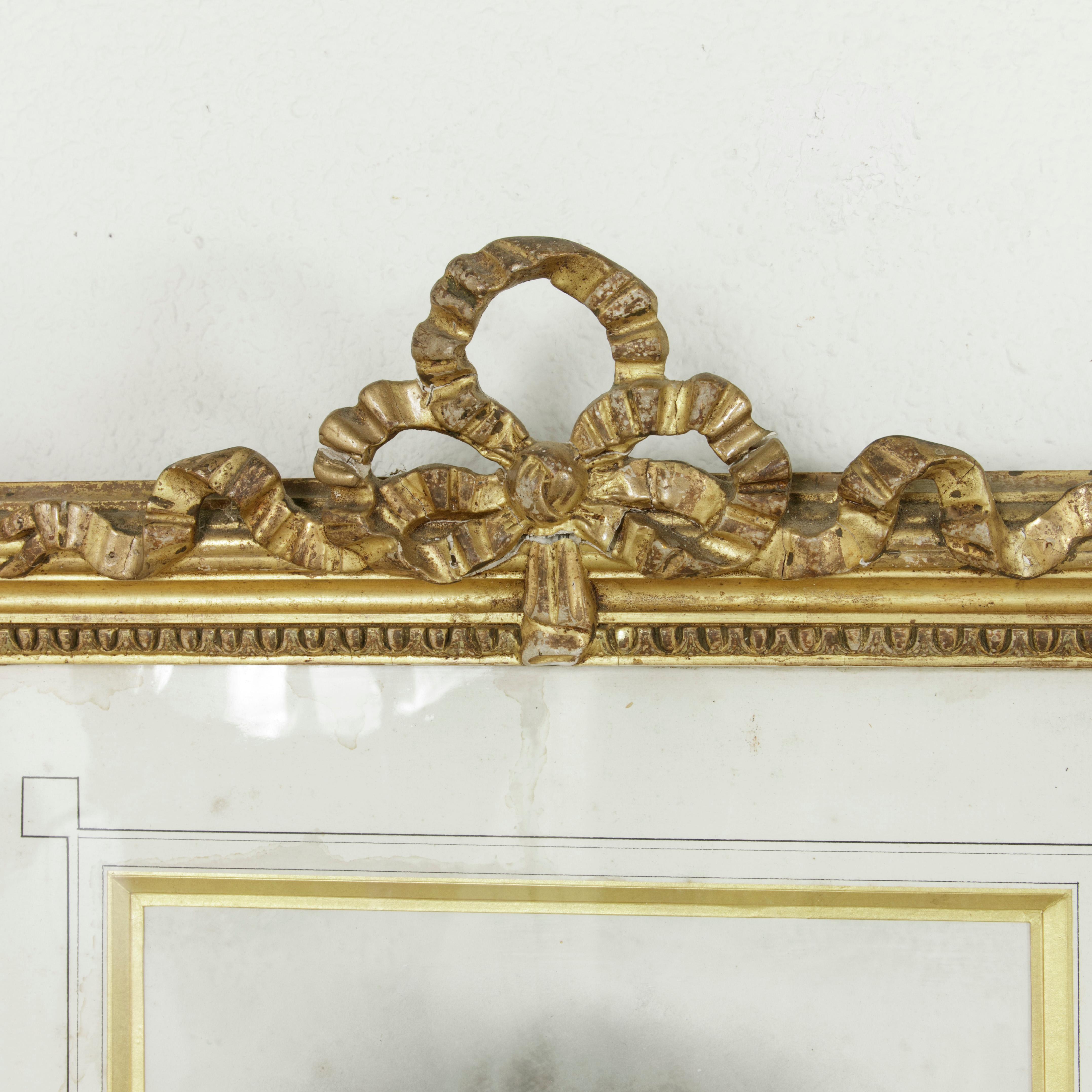 Giltwood Late 19th Century French Louis XVI Style Frame with Photograph of Young Girl
