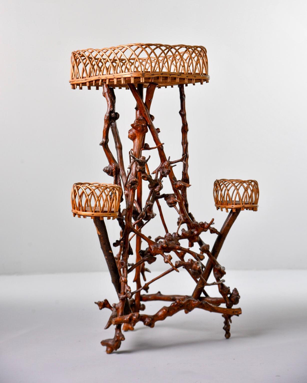Unusual natural form plant stand from France is made of knobby twigs and features a large top shelf with a scalloped rattan gallery and two small lower platforms to hold potted plants, circa 1890s.