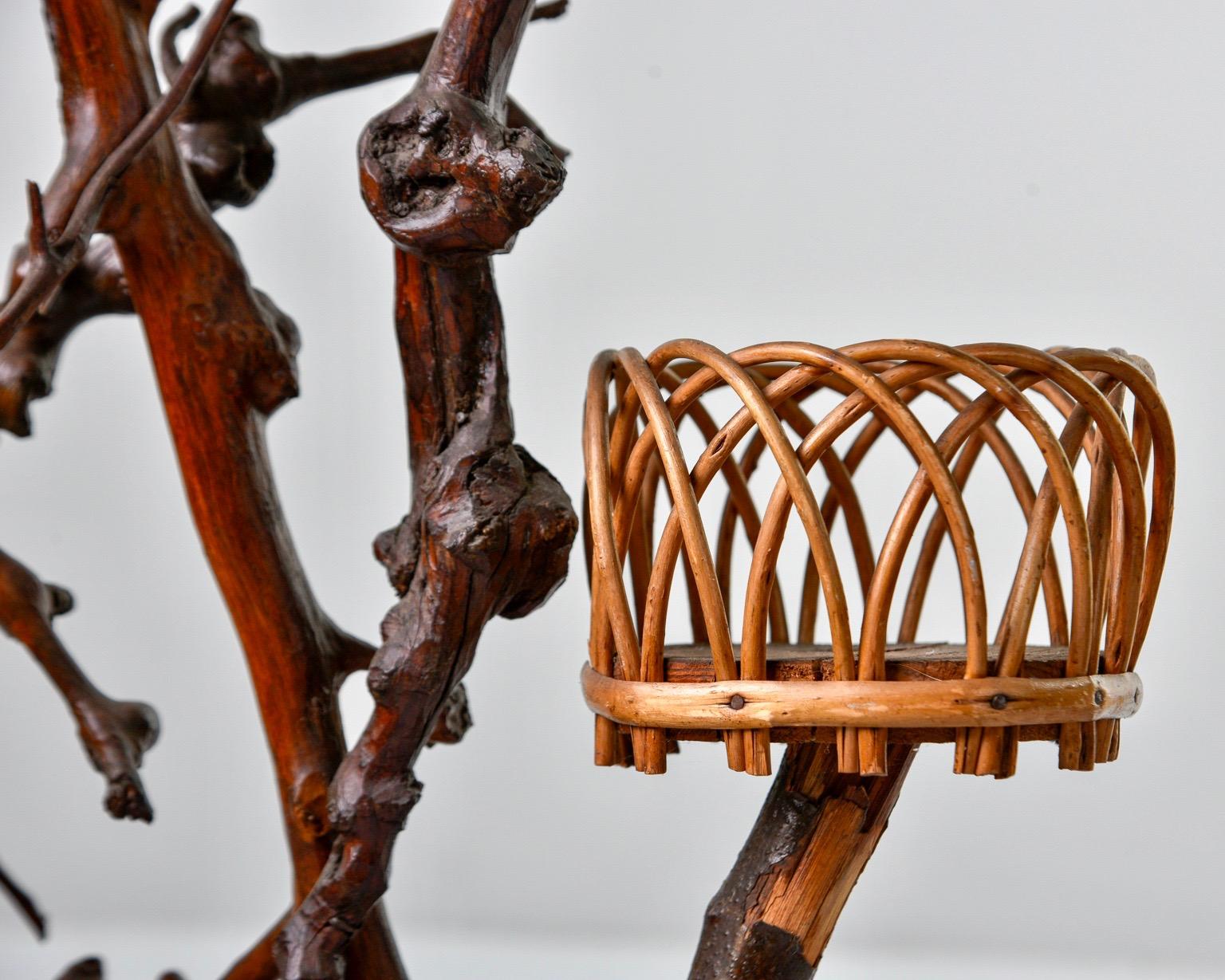 Late 19th Century French Natural Form Twig Plant Stand 2