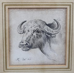 Late 19th Century German "Cape Buffalo" Print by Friederich Wilhelm Kuhnert