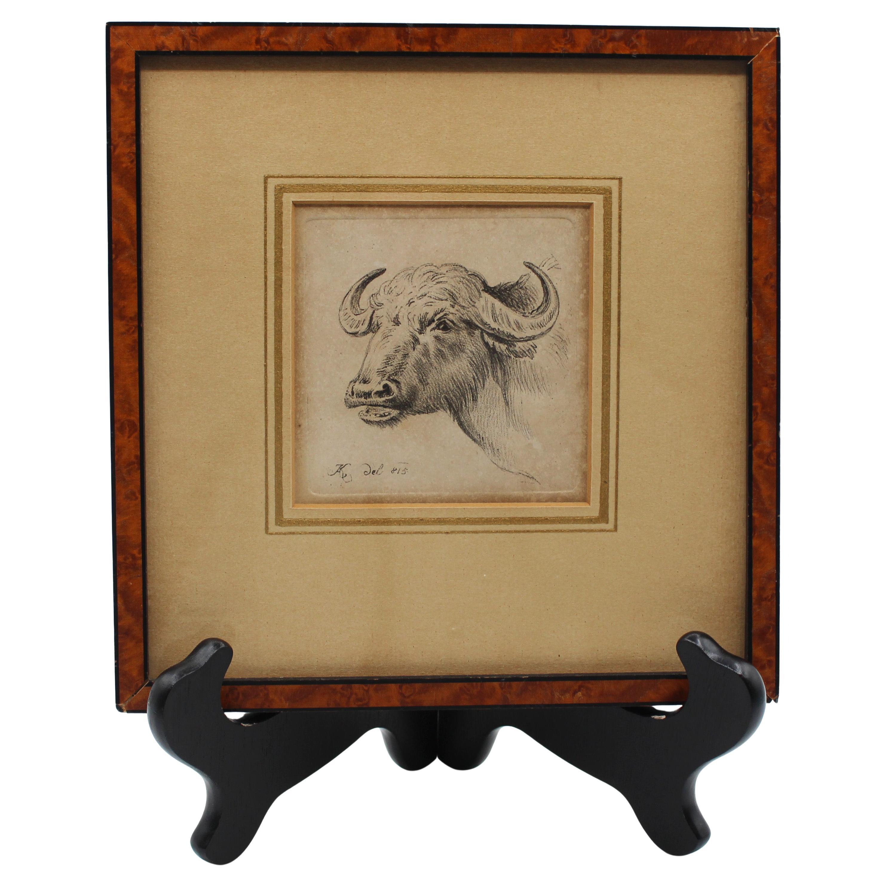 Gravure allemande "Cape Buffalo" de la fin du 19e siècle par Friederich Wilhelm Kuhnert