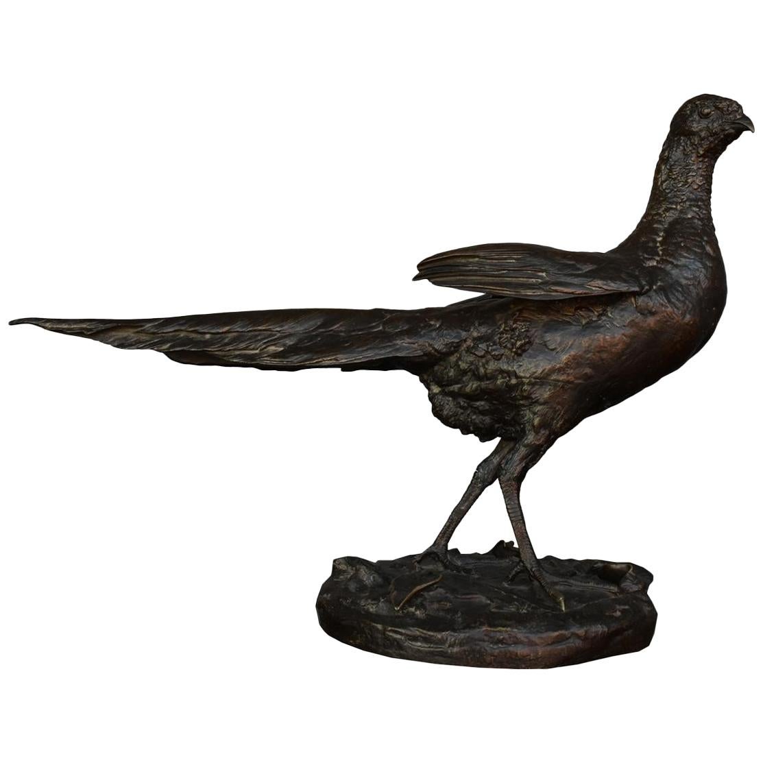 Late 19th Century Hen Pheasant in Bronze