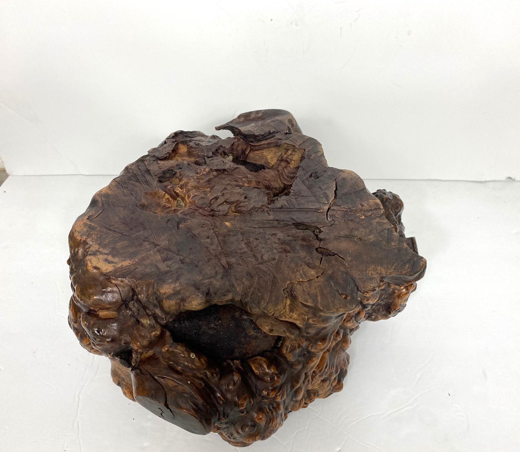 Legno Radice di albero hibachi della fine del XIX secolo in vendita