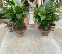 Late 19th Century Iron Planter