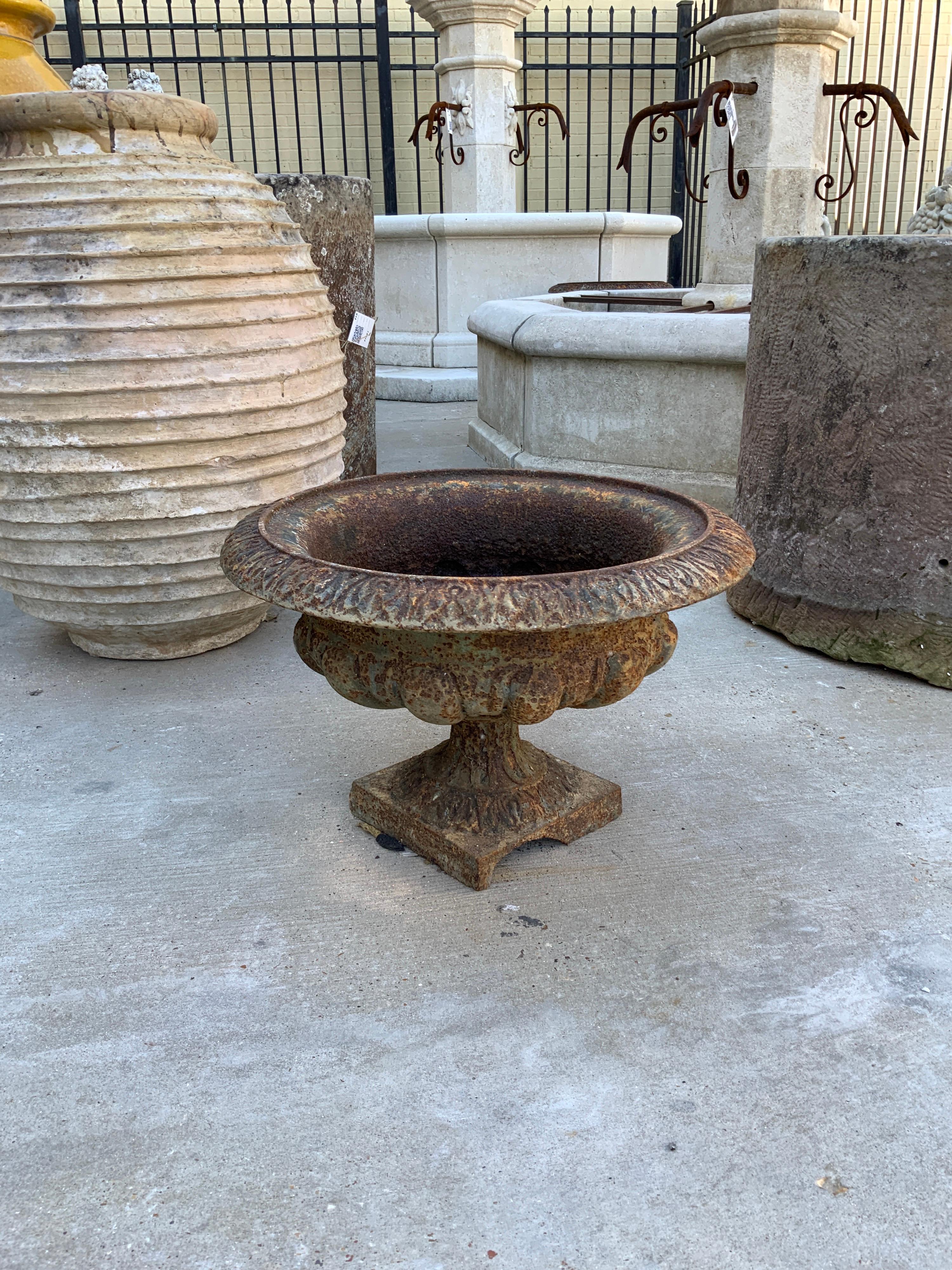 French Late 19th Century Iron Planter For Sale