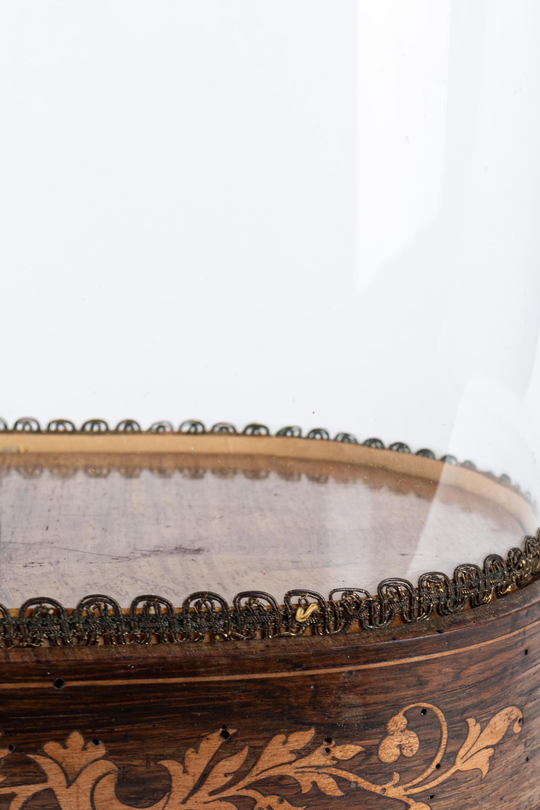 Italiano Cupola in vetro italiana della fine del XIX secolo con base in legno intarsiato in vendita