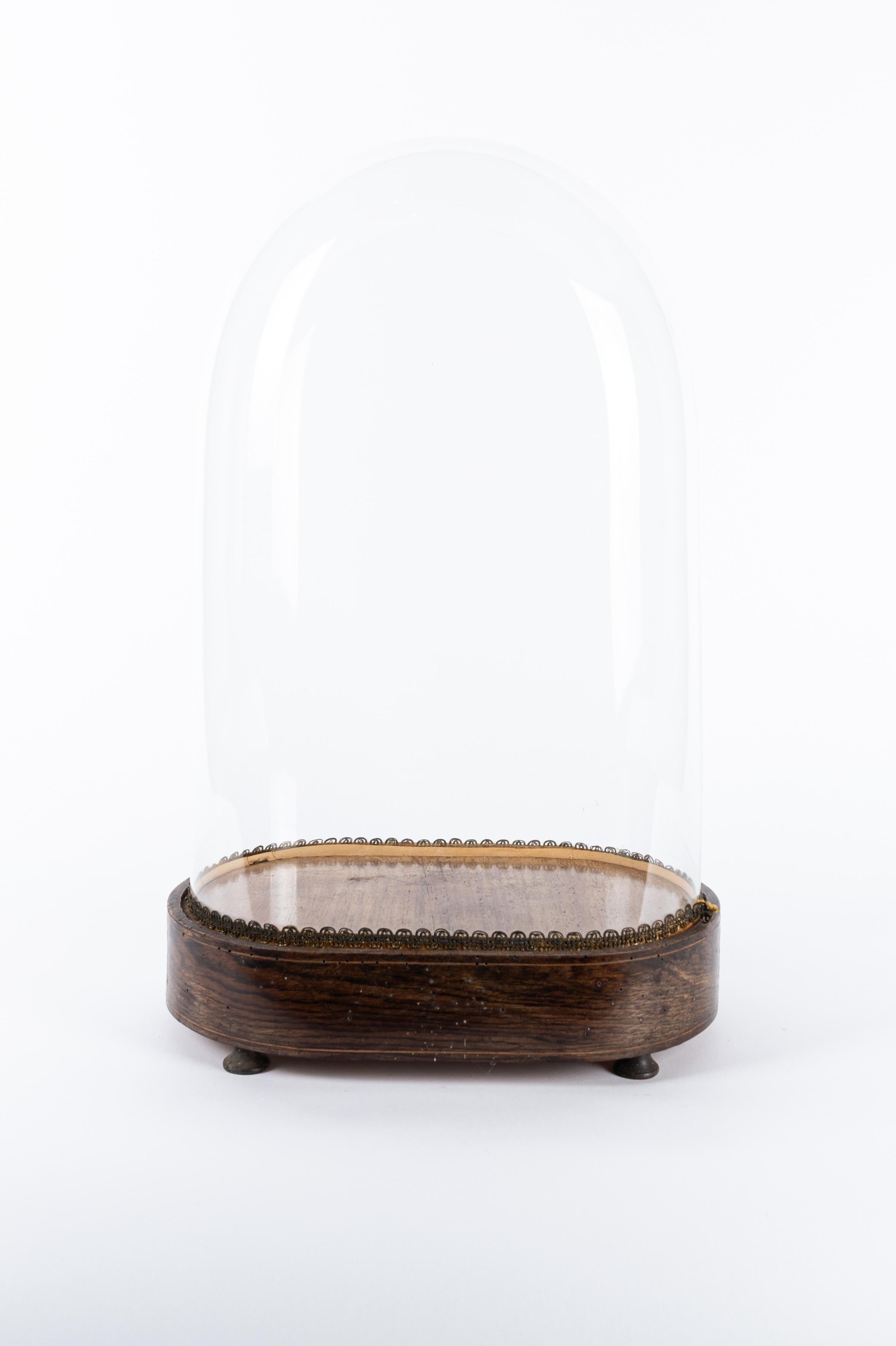 Marqueterie Cupola in vetro italiana della fine del XIX secolo con base in legno intarsiato in vendita