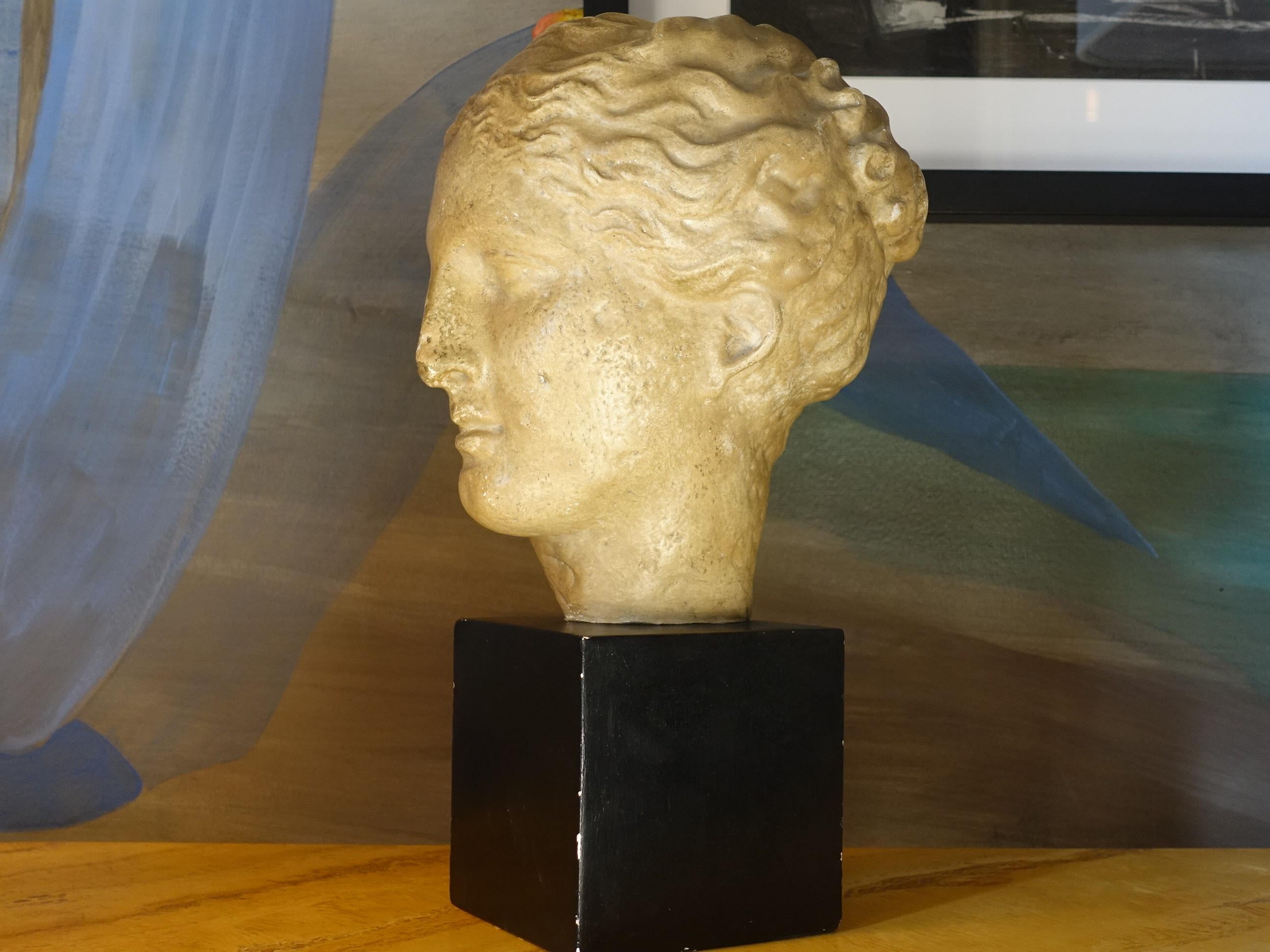 Late 19th century Italian female gypsum head sculpture, black base, perfect condition and vintage patina, just few chipped on the base, there is a coin inside the base with illegible signature.
