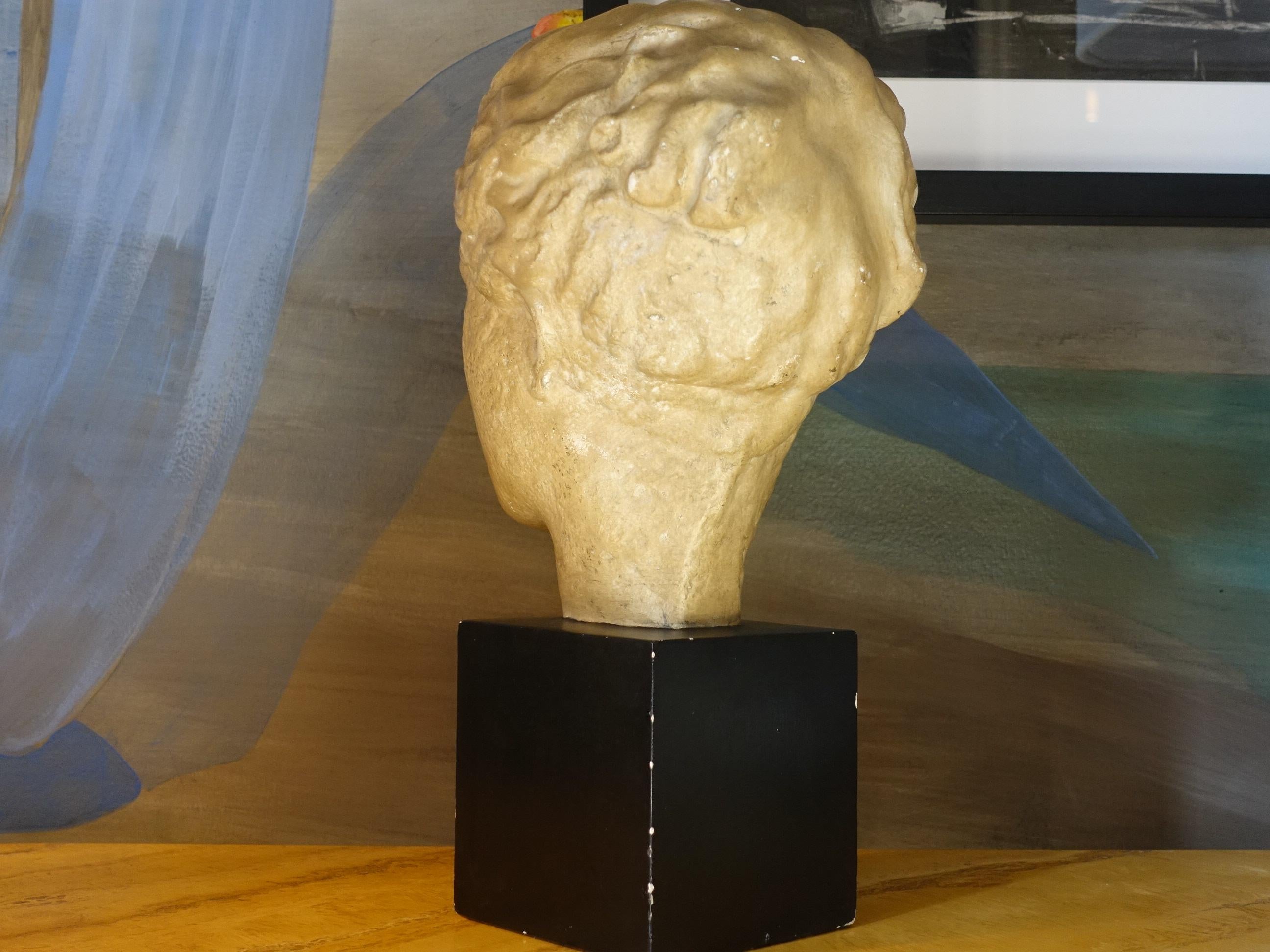 Late 19th Century Italian Gypsum Female Head, Black Gypsum Base In Good Condition In Firenze, IT