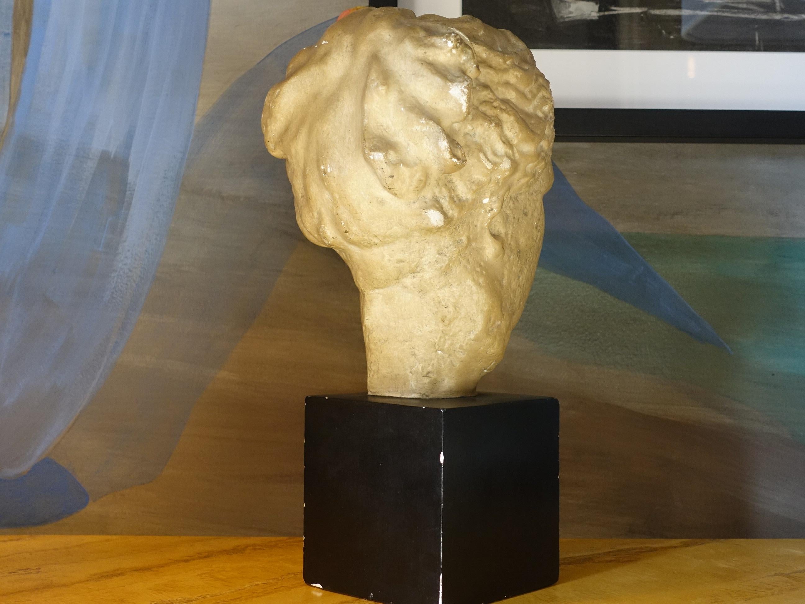 Plaster Late 19th Century Italian Gypsum Female Head, Black Gypsum Base