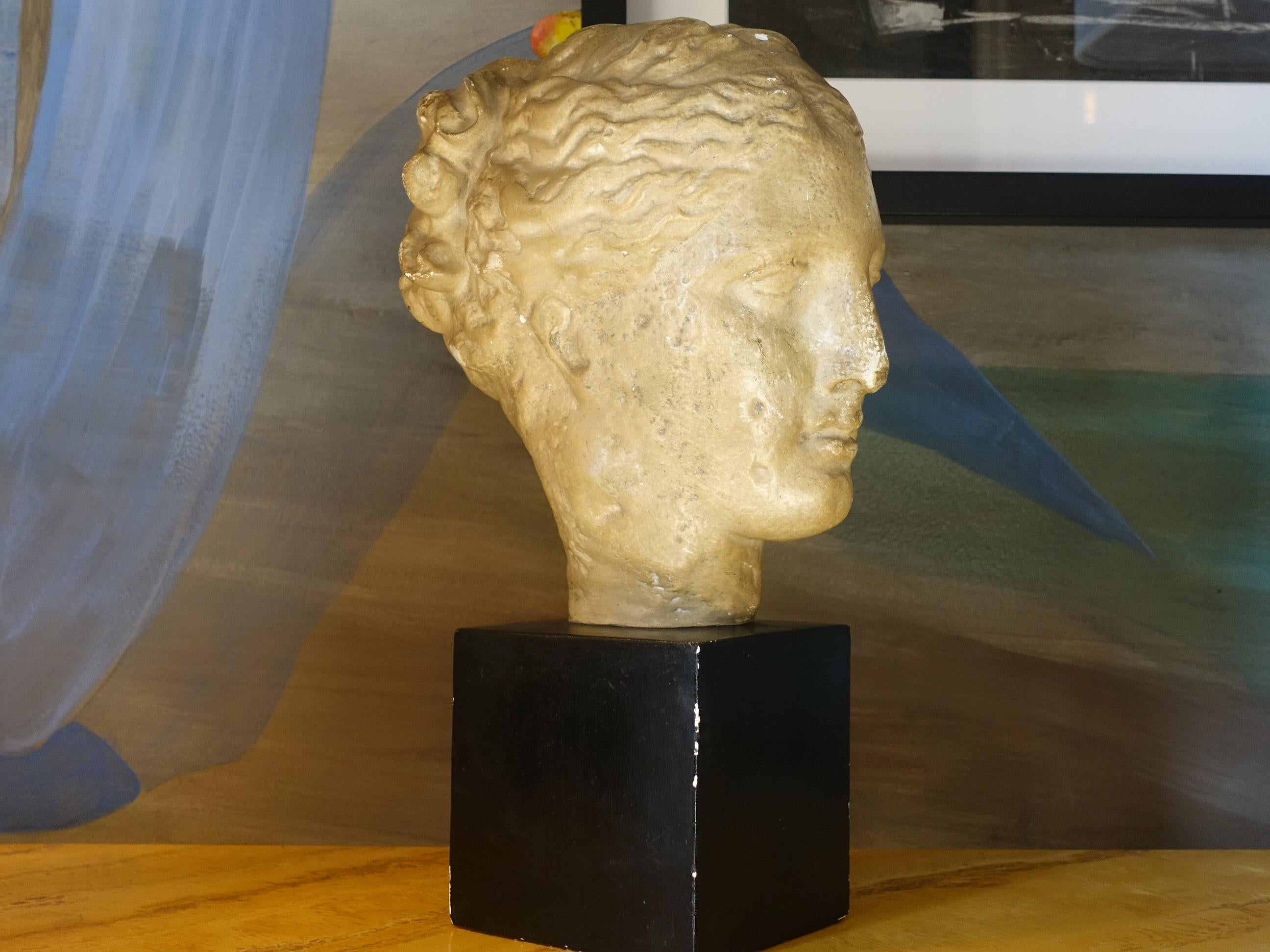 Late 19th Century Italian Gypsum Female Head, Black Gypsum Base 1