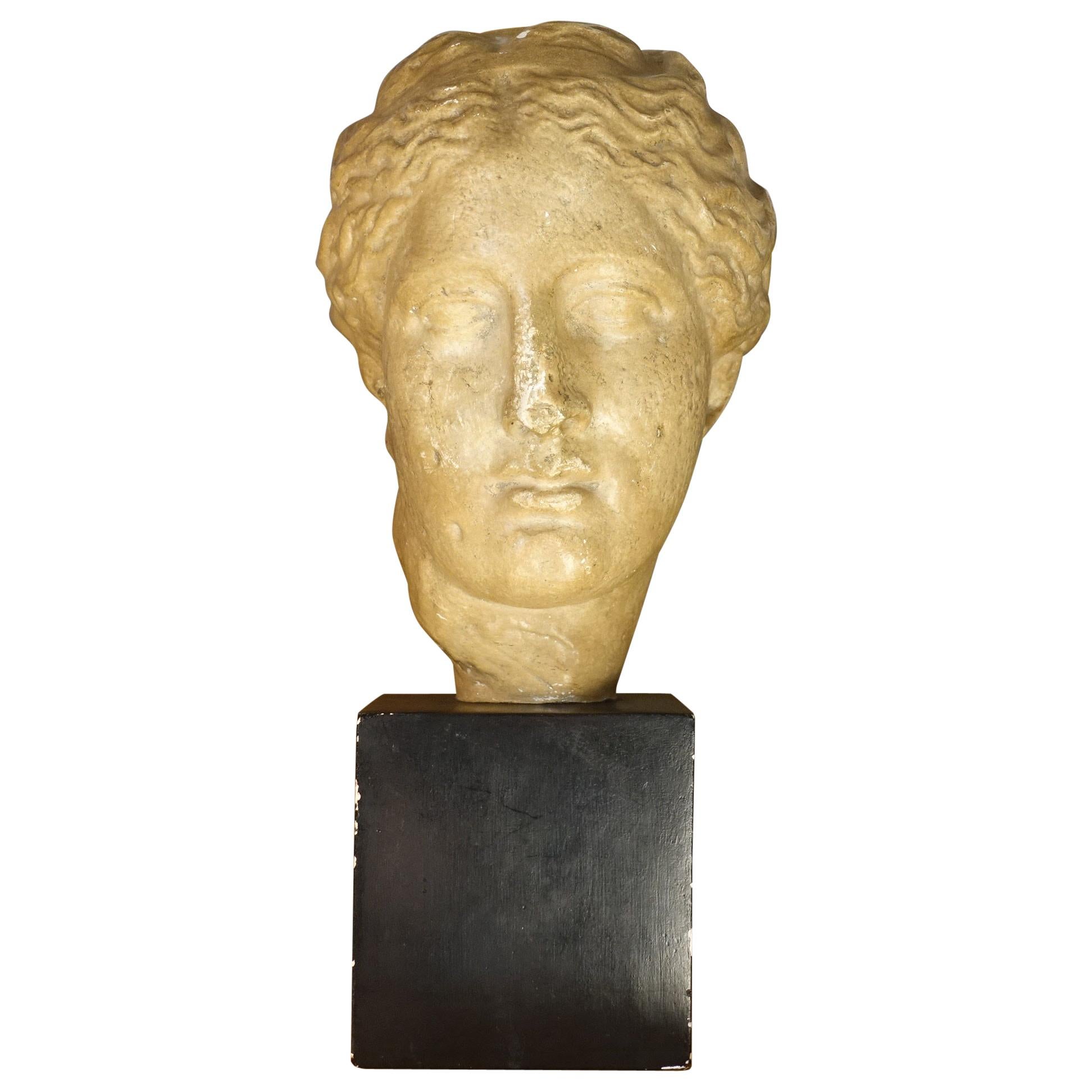 Late 19th Century Italian Gypsum Female Head, Black Gypsum Base