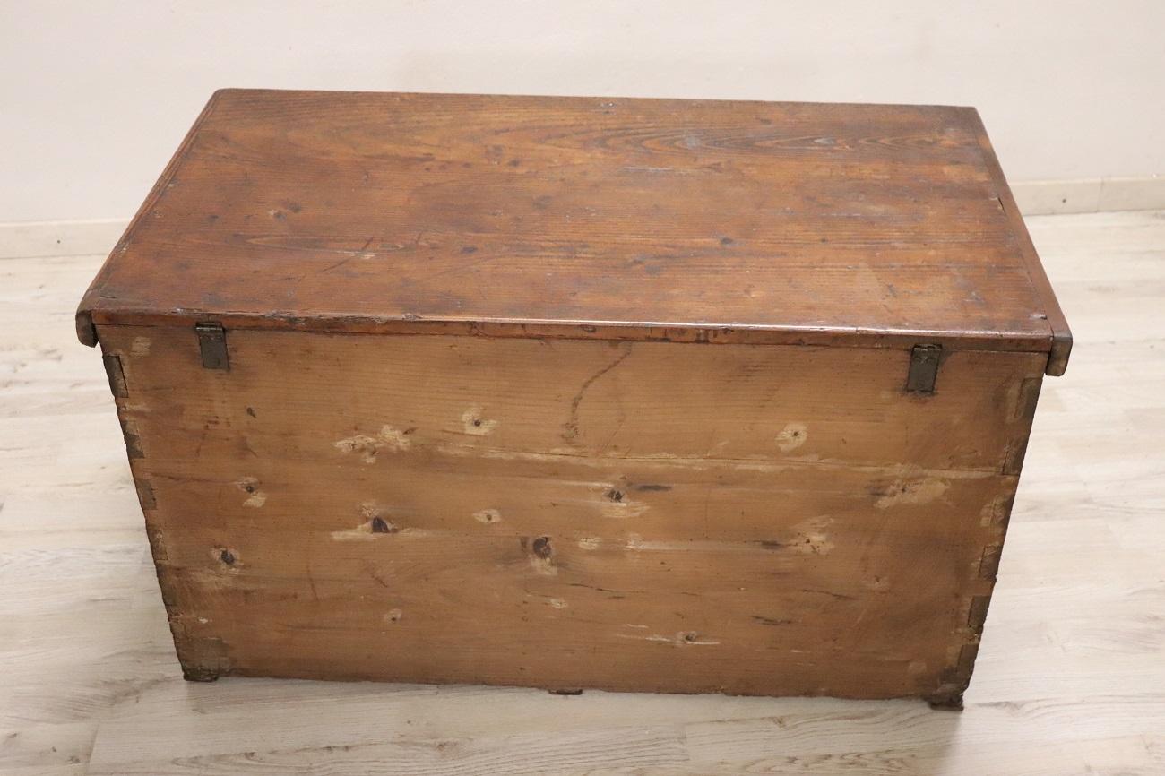 Late 19th Century Italian Rustic Antique Trunk in Fir Wood For Sale 7
