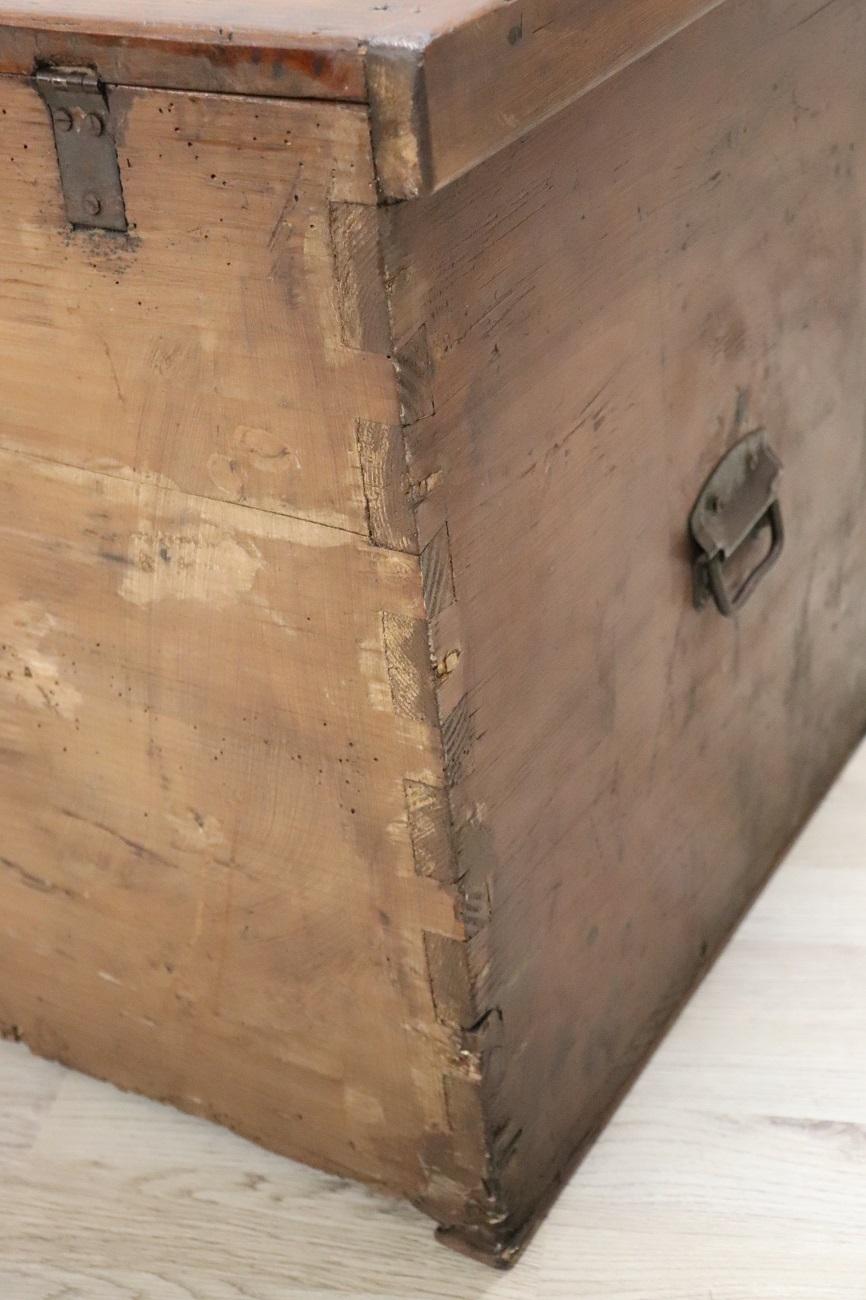 Late 19th Century Italian Rustic Antique Trunk in Fir Wood For Sale 8