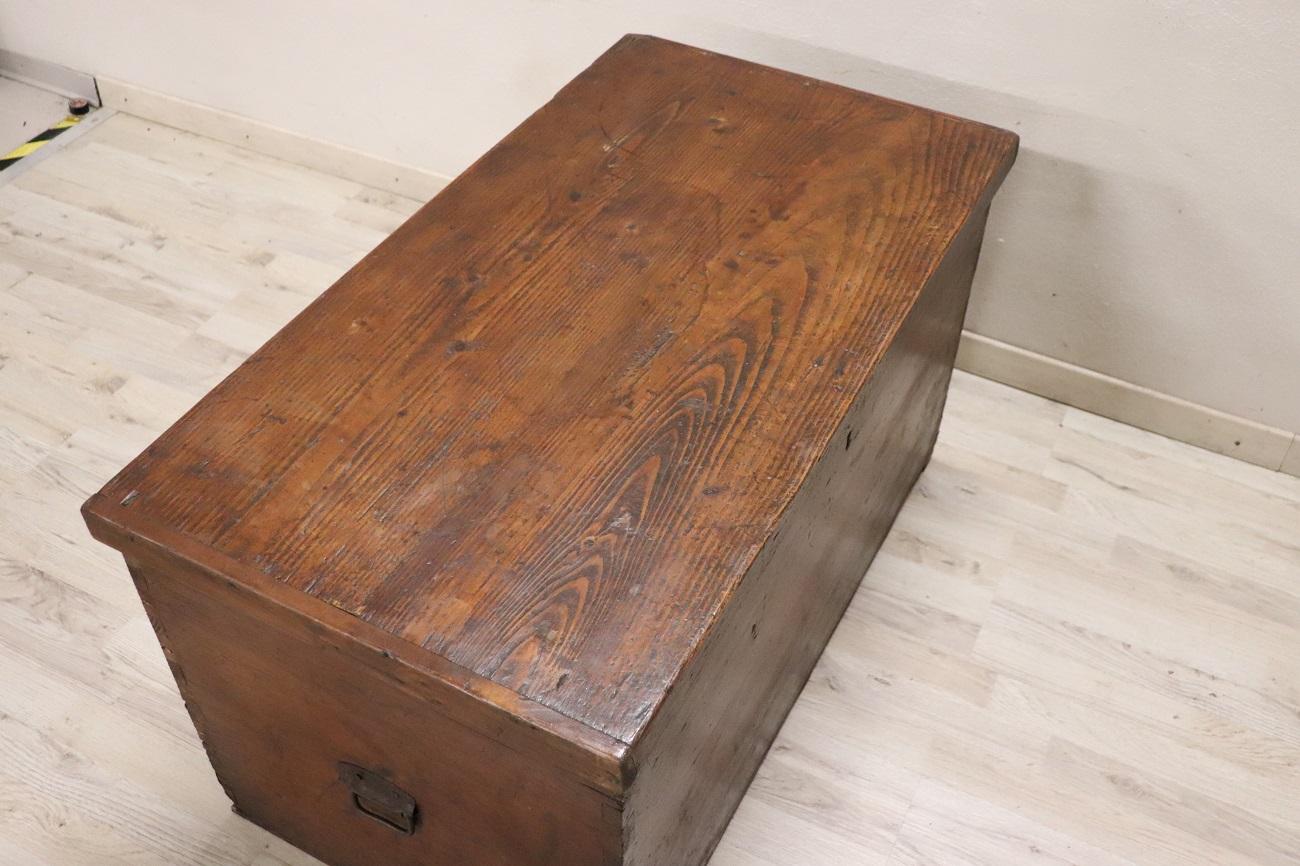 Late 19th Century Italian Rustic Antique Trunk in Fir Wood For Sale 2