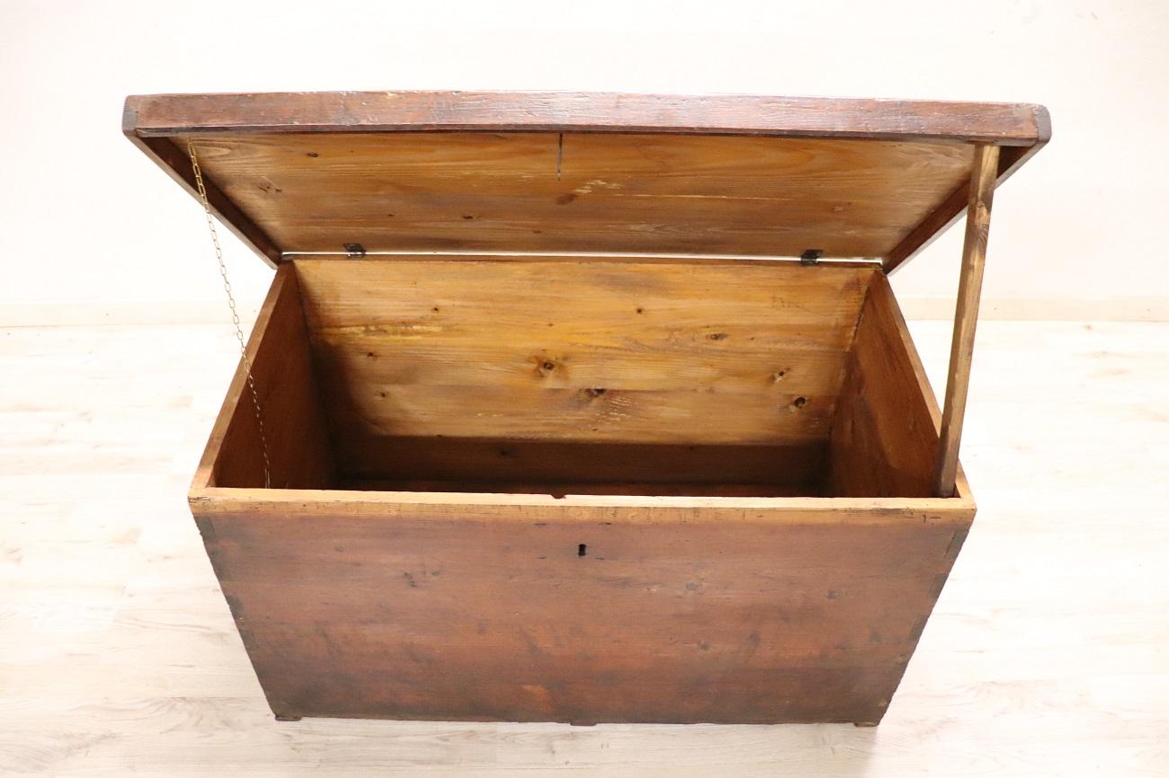 Late 19th Century Italian Rustic Antique Trunk in Fir Wood For Sale 3