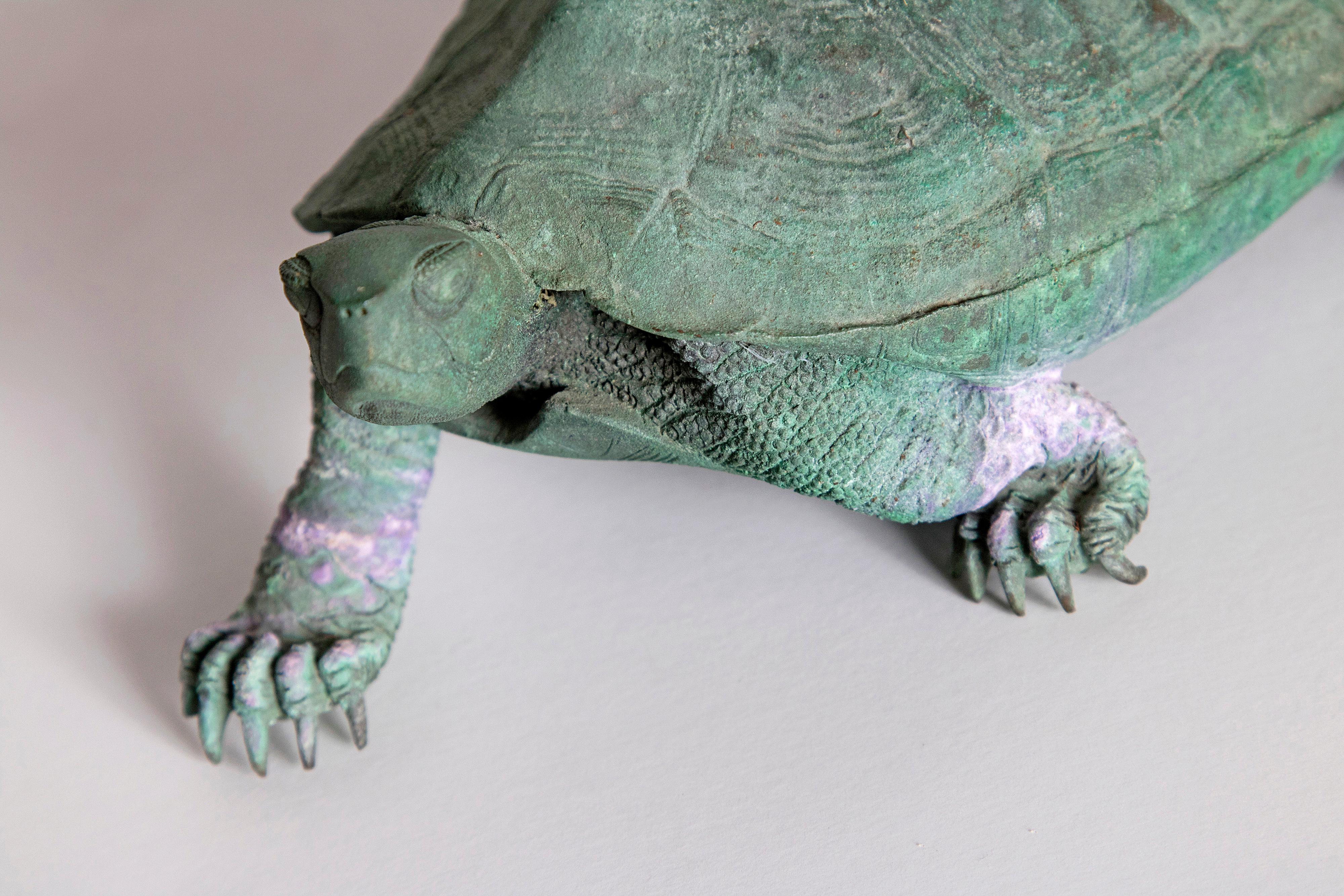 Late 19th Century Japanese Bronze Tortoise, Meiji Period 6