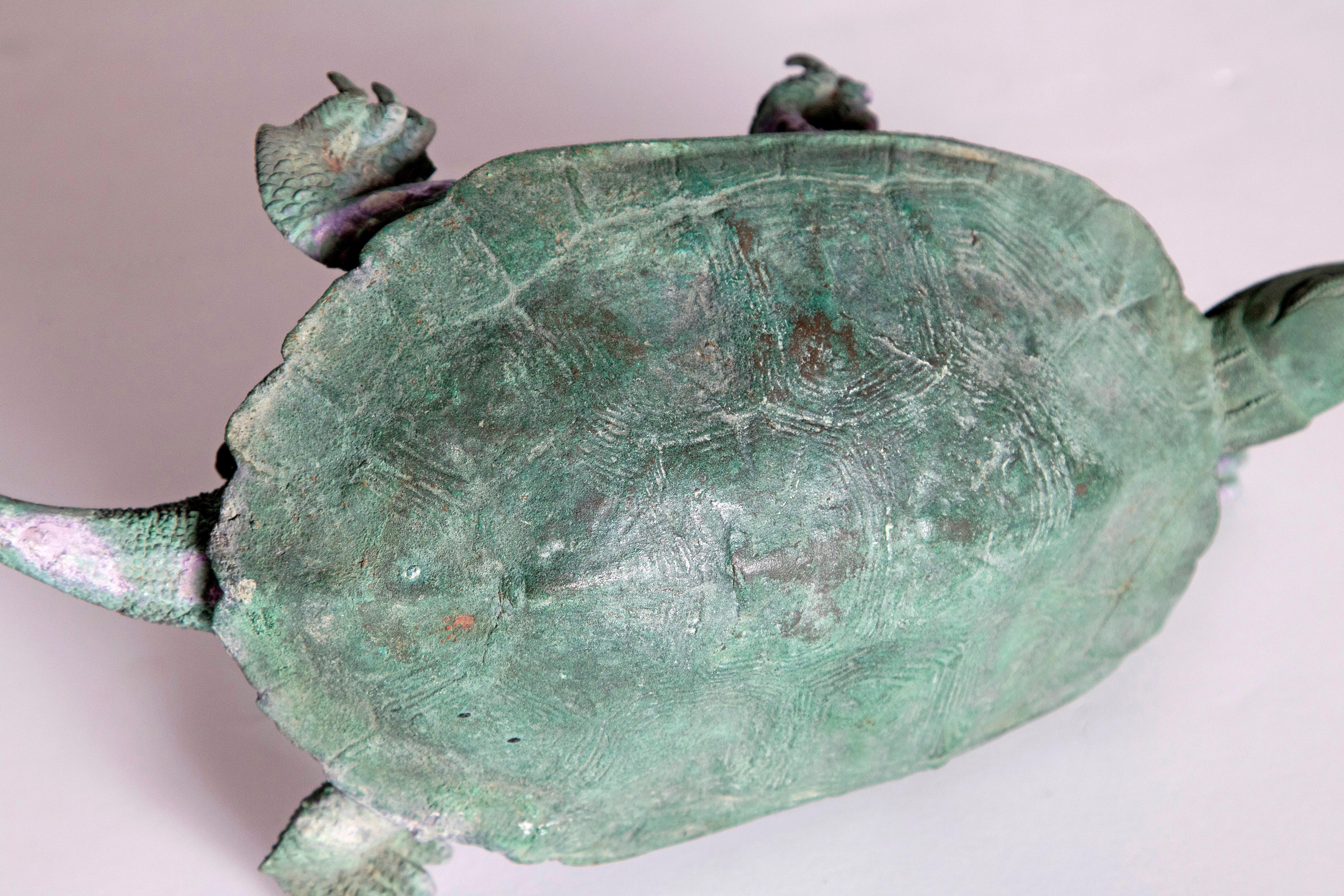 Late 19th Century Japanese Bronze Tortoise, Meiji Period 7