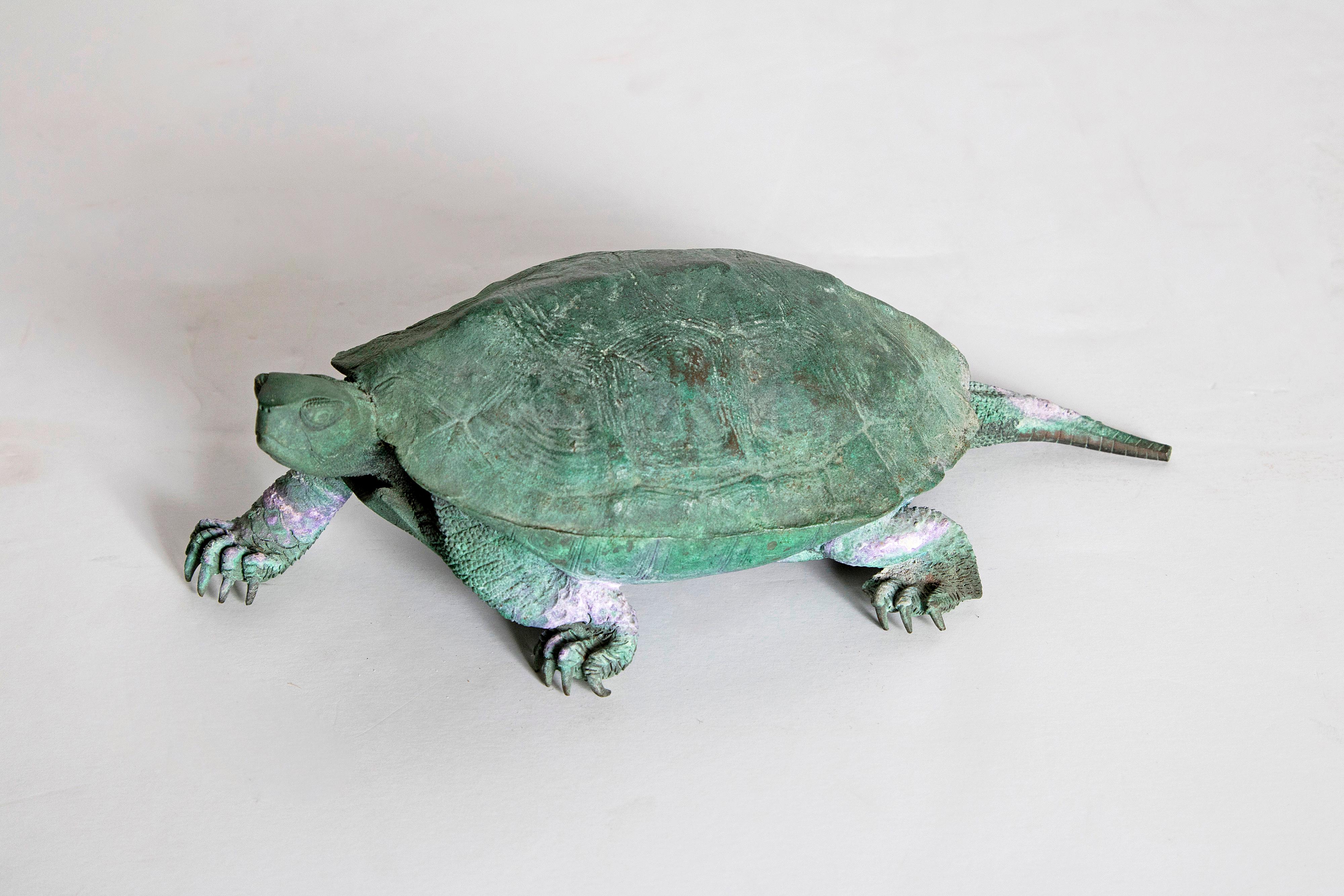 A beautifully patinated bronze sculpture of a walking tortoise. Realistically portrayed with face, toes, and patterned shell. Signed on bottom, Japan, late 19th century.