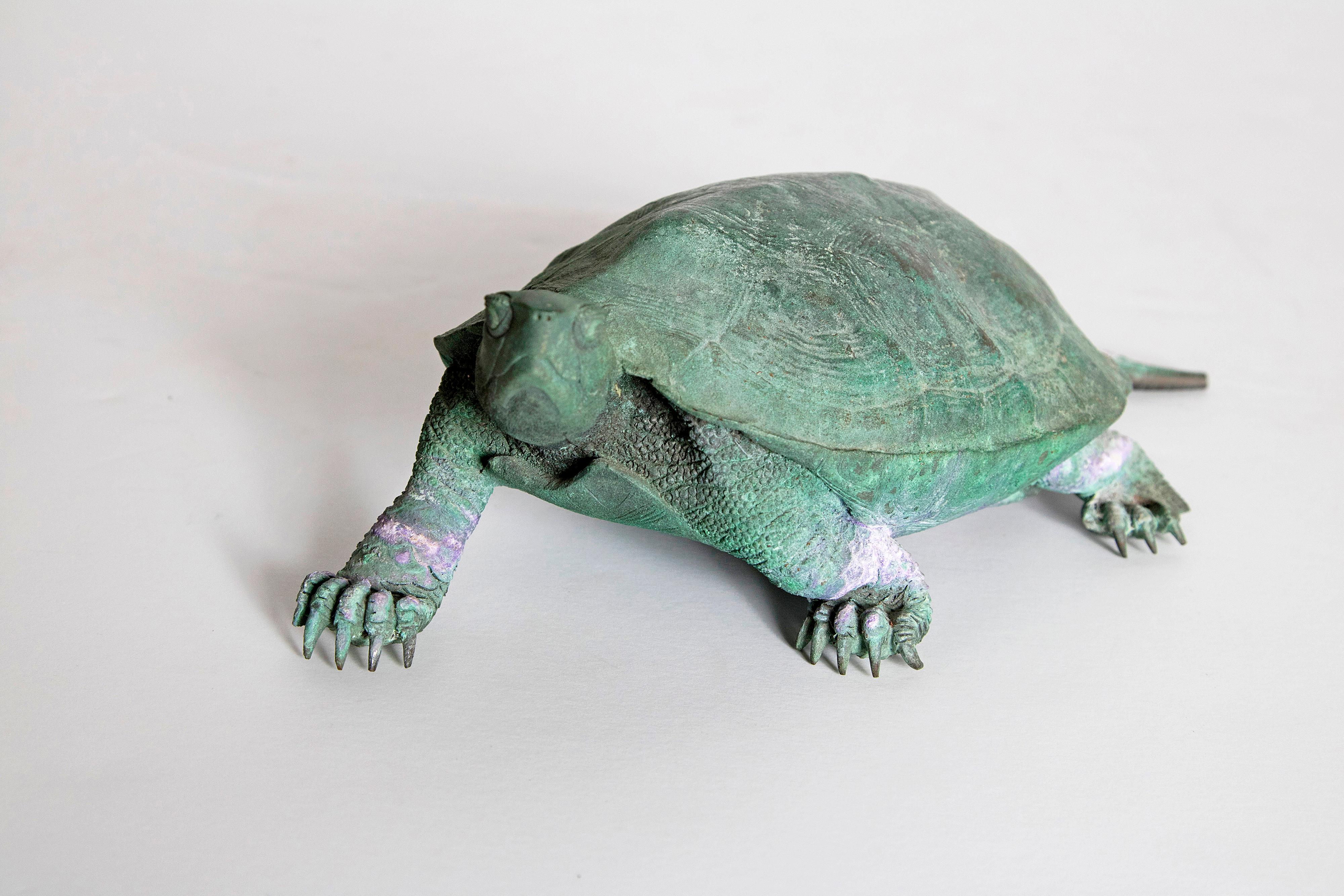 Cast Late 19th Century Japanese Bronze Tortoise, Meiji Period