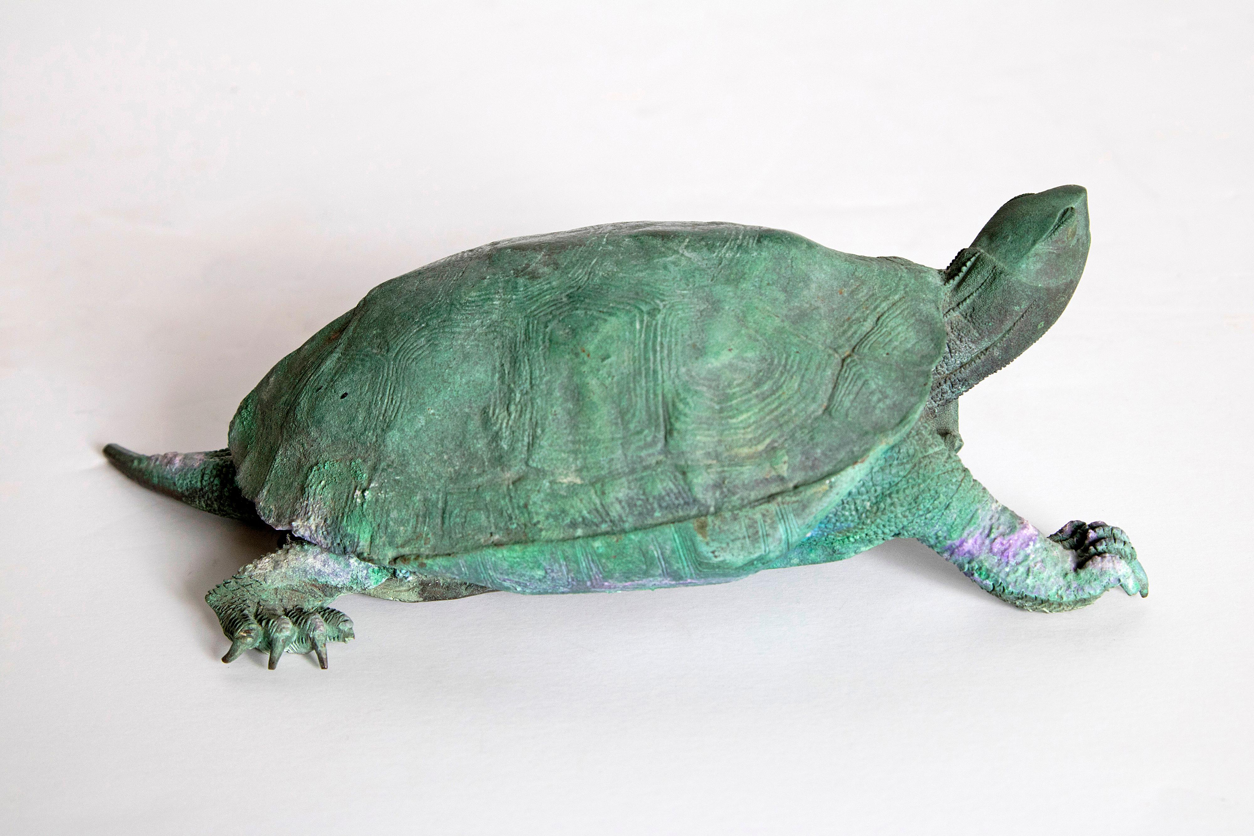 Late 19th Century Japanese Bronze Tortoise, Meiji Period 1