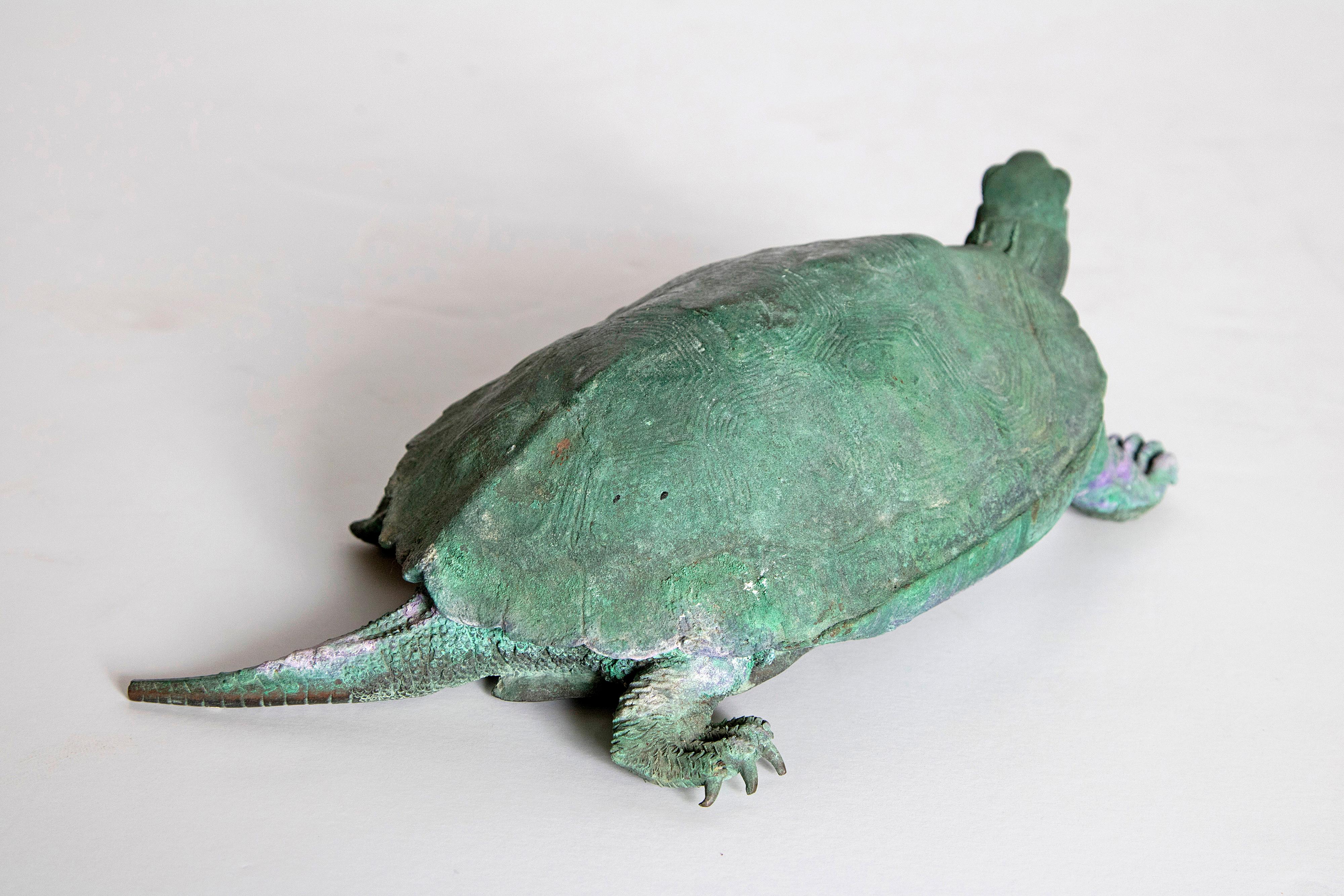Late 19th Century Japanese Bronze Tortoise, Meiji Period 2