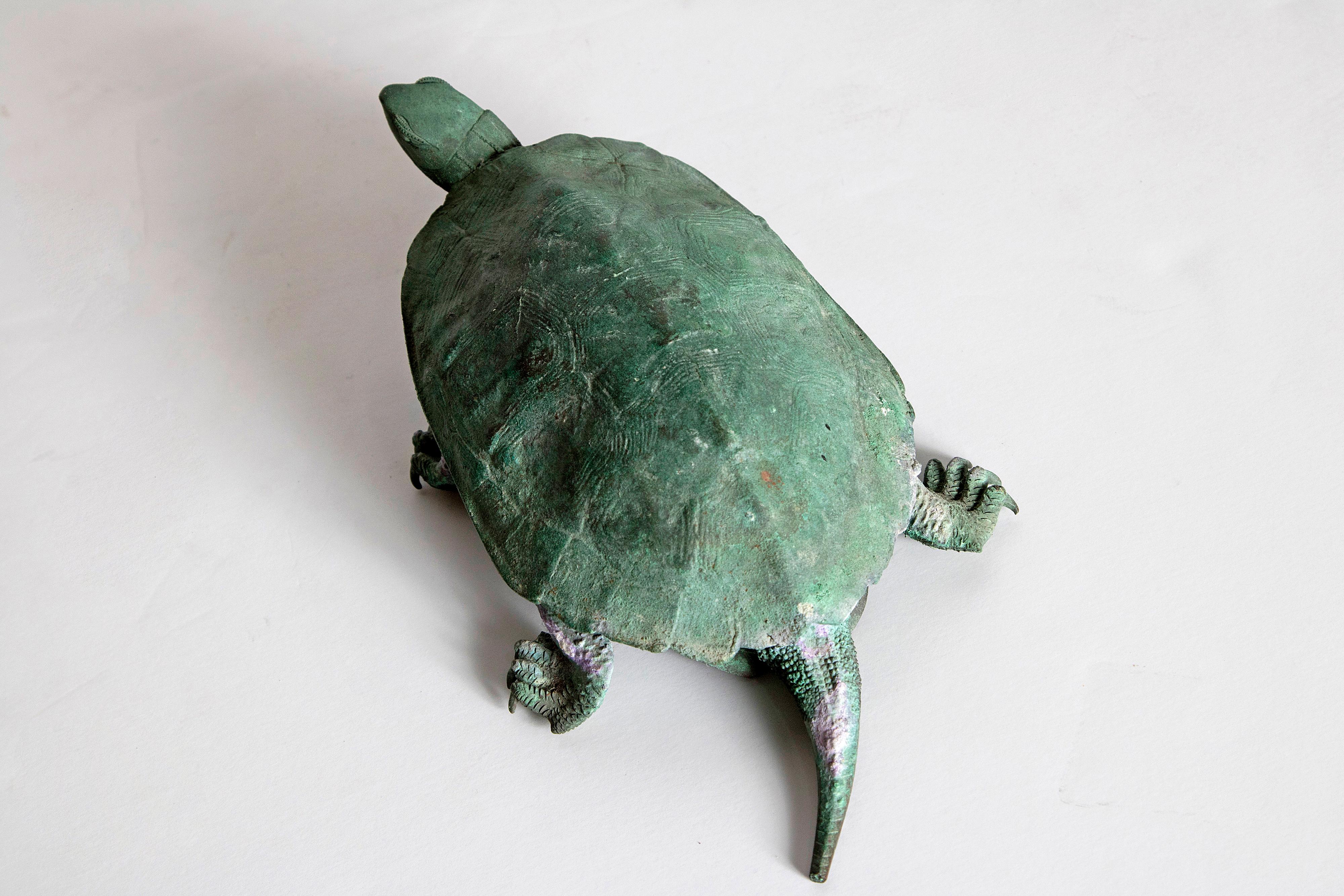 Late 19th Century Japanese Bronze Tortoise, Meiji Period 3