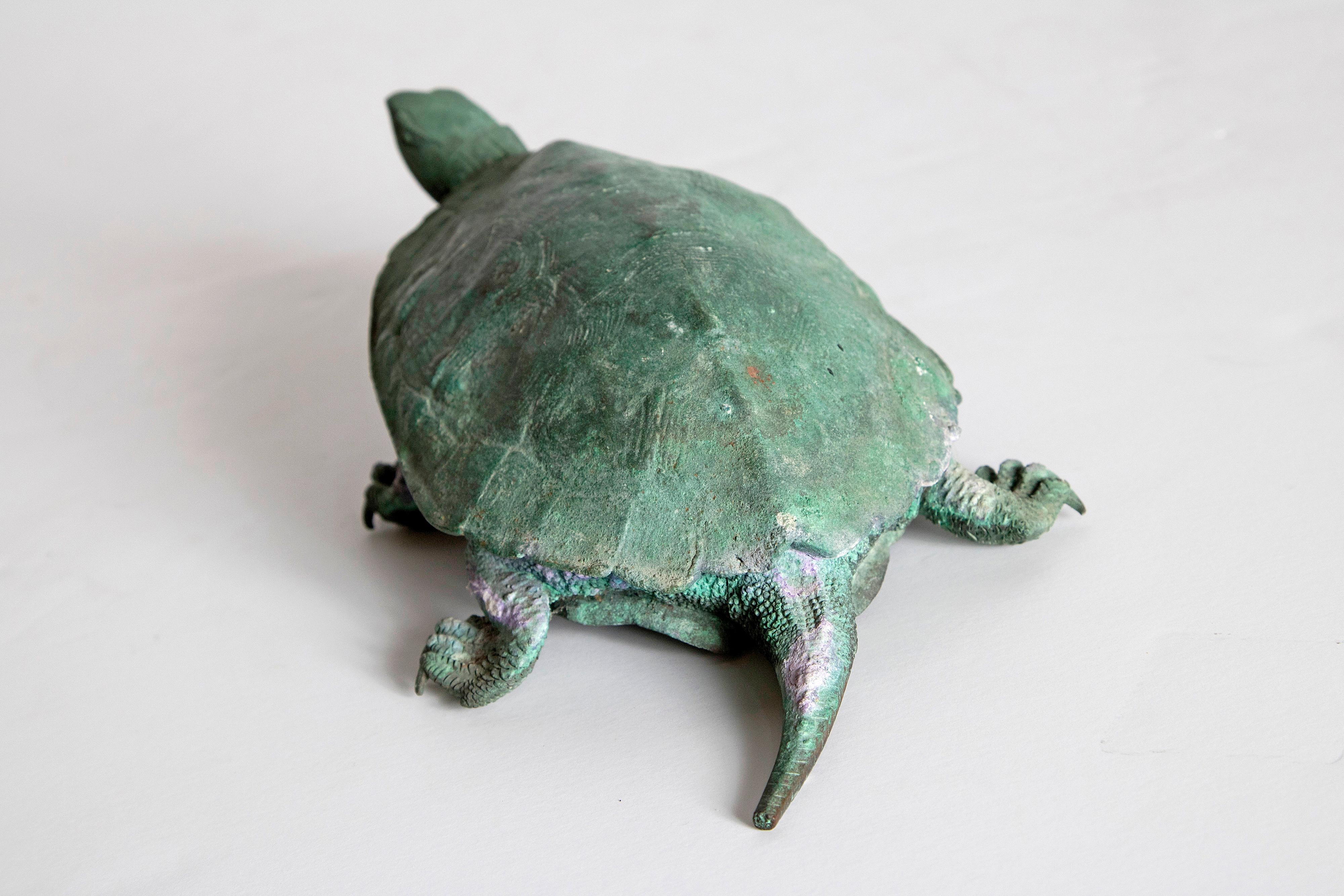 Late 19th Century Japanese Bronze Tortoise, Meiji Period 4