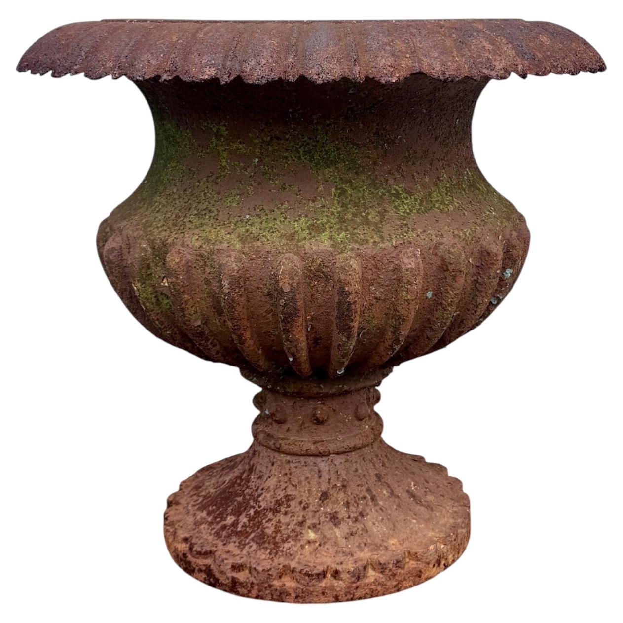 Late 19th Century Large Cast Iron Flared Rim Garden Urn Planter For Sale