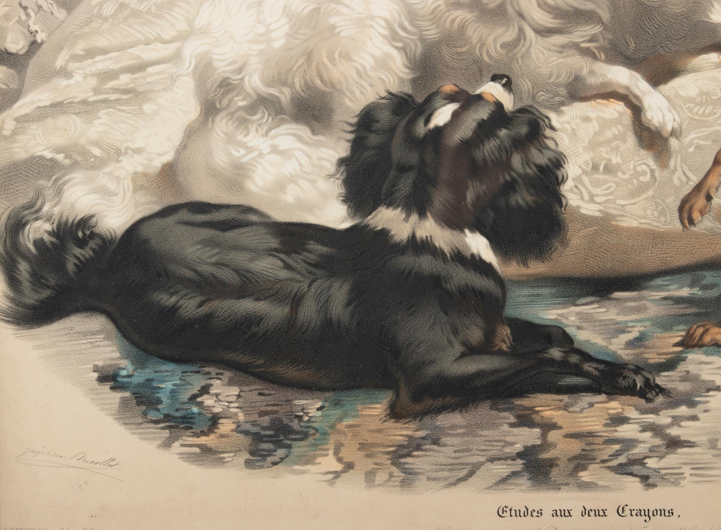 Late 19th Century Lithograph with Dogs, Joséphine Ducollet For Sale 3