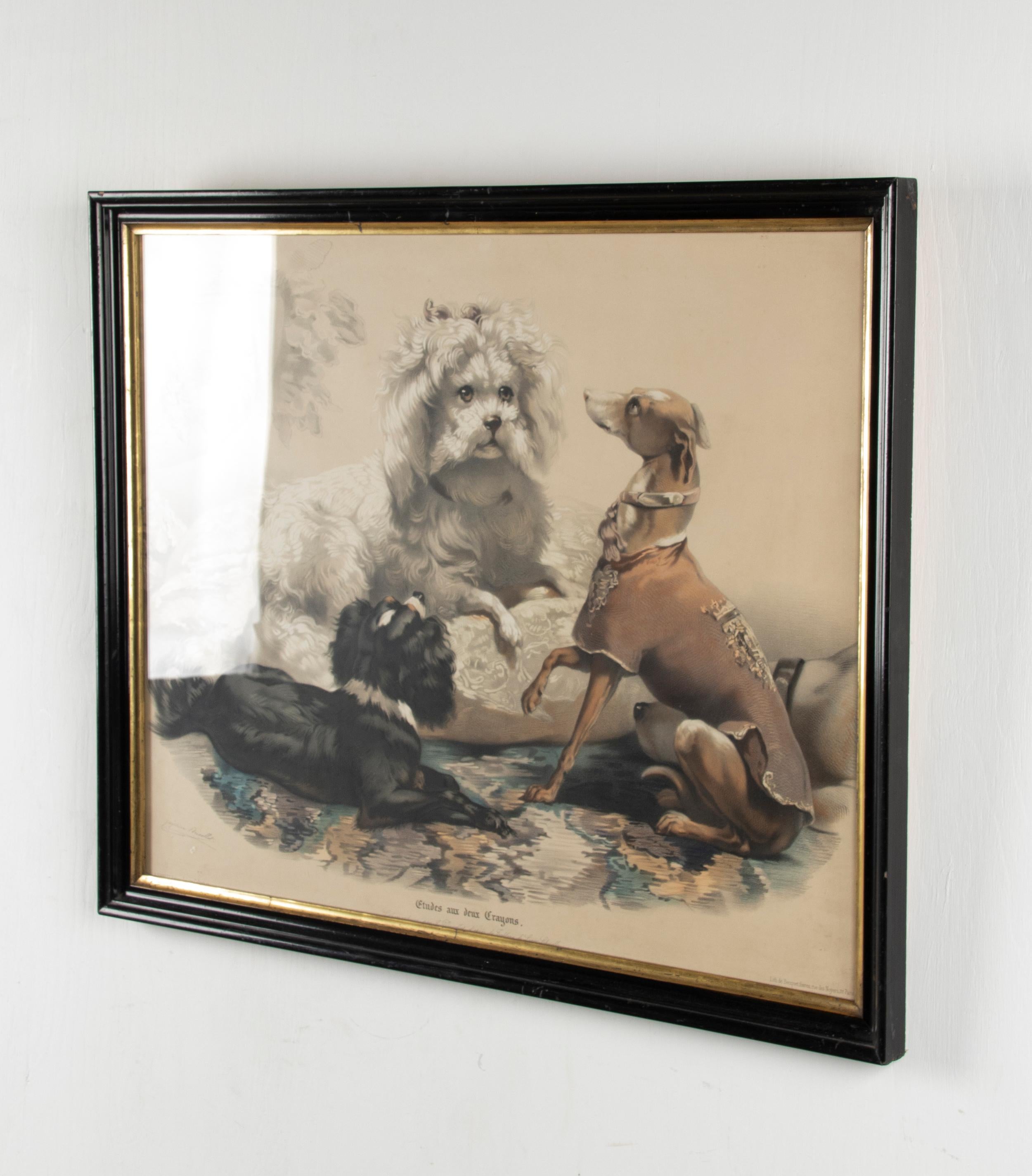 Late 19th Century Lithograph with Dogs, Joséphine Ducollet For Sale 7