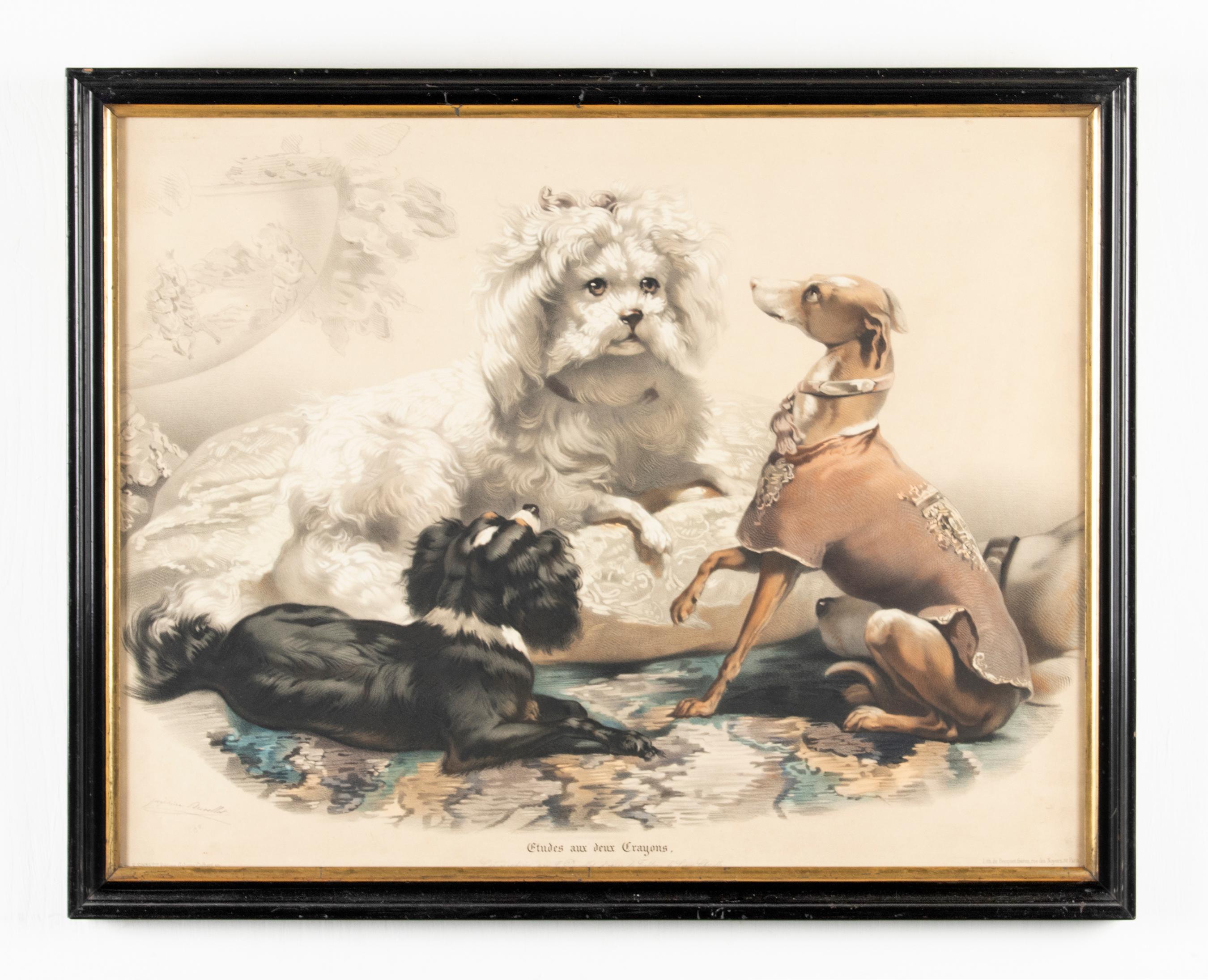 A fine lithograph in colors of four dogs, title 