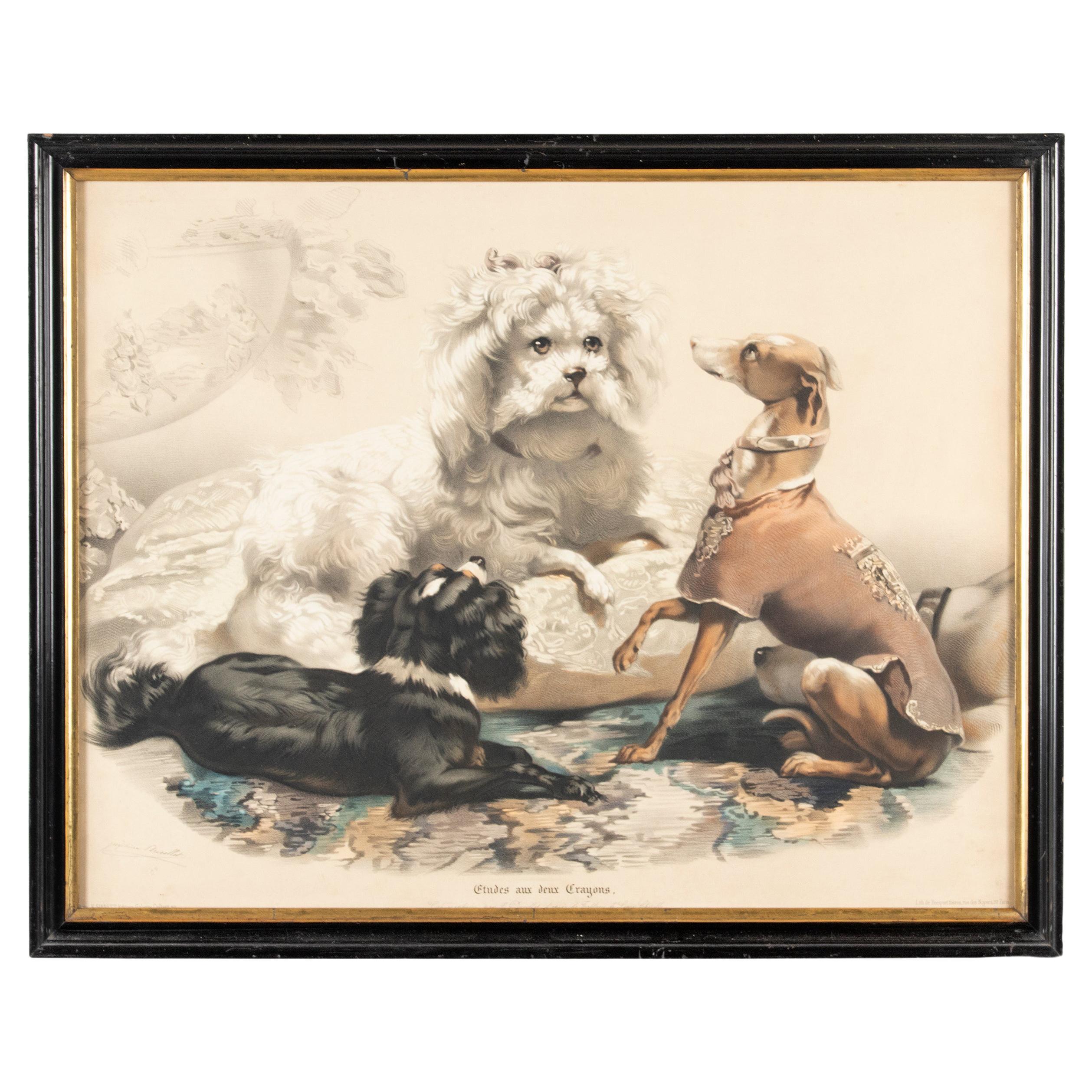 Late 19th Century Lithograph with Dogs, Joséphine Ducollet