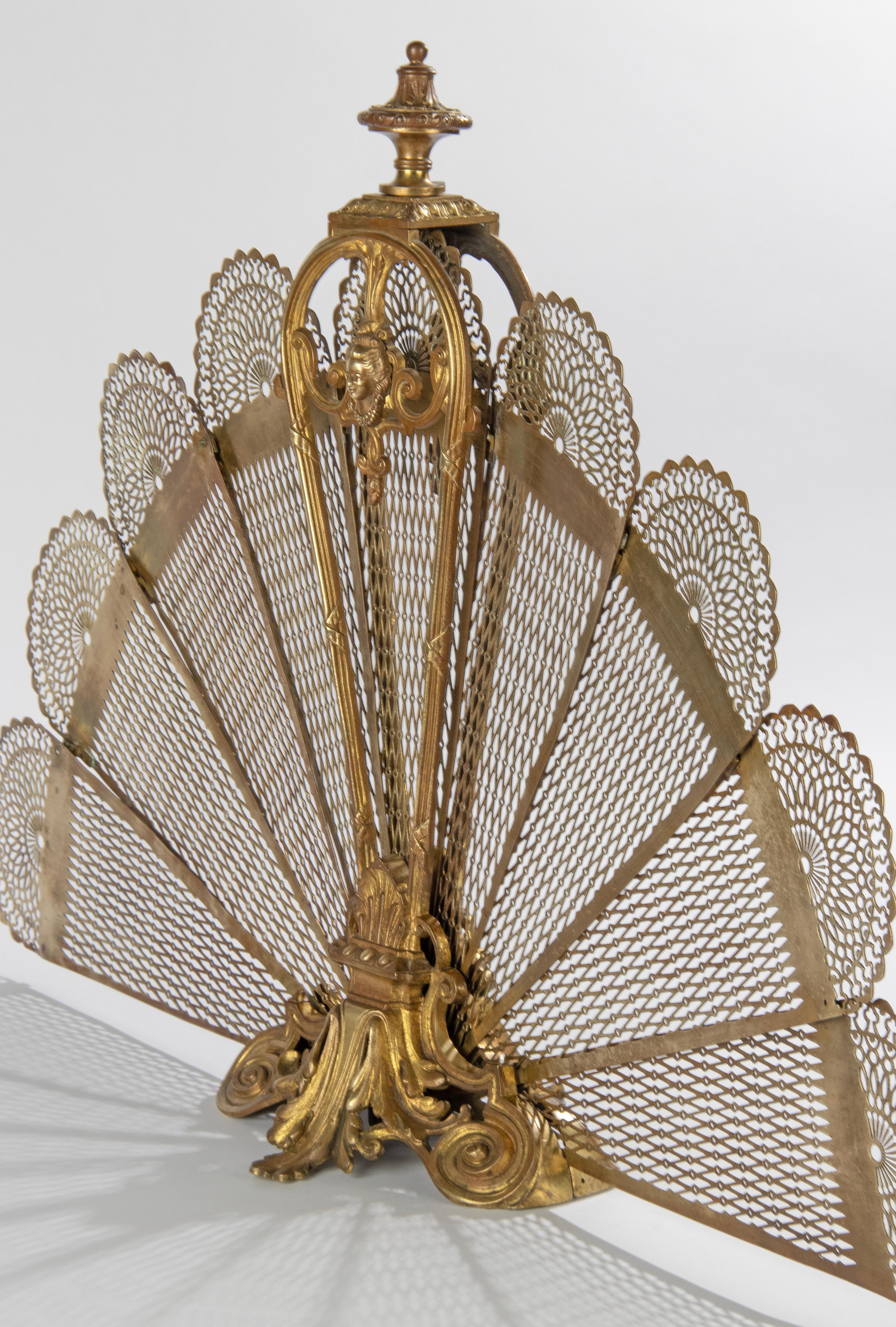 Late 19th Century Louis XVI Bronze Fan Foldable Peacock Fire Place Screen 9
