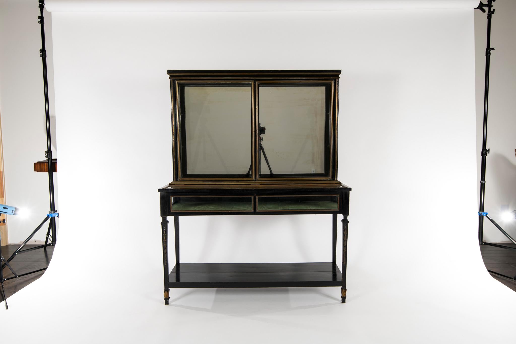 Late 19th Century Louis XVI Style Ebonized Display Cabinet 6