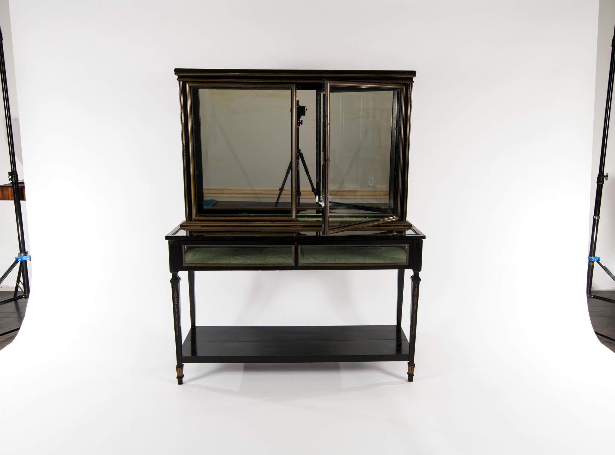 Late 19th Century Louis XVI Style Ebonized Display Cabinet 8