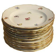 Late 19th Century Meissen Dinner Plates - set of 12