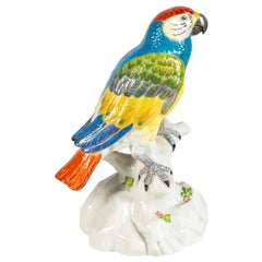Late 19th Century Meissen Porcelain Parrot