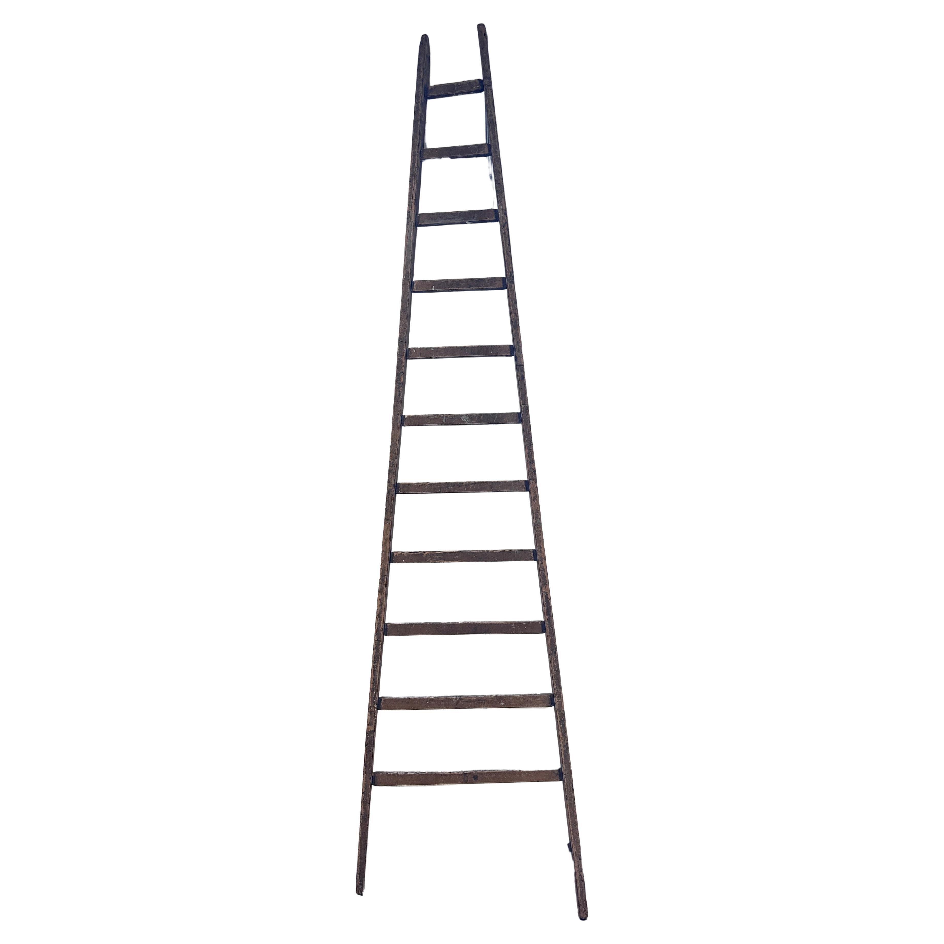 Late 19th Century Mercier Frères Library Ladder For Sale