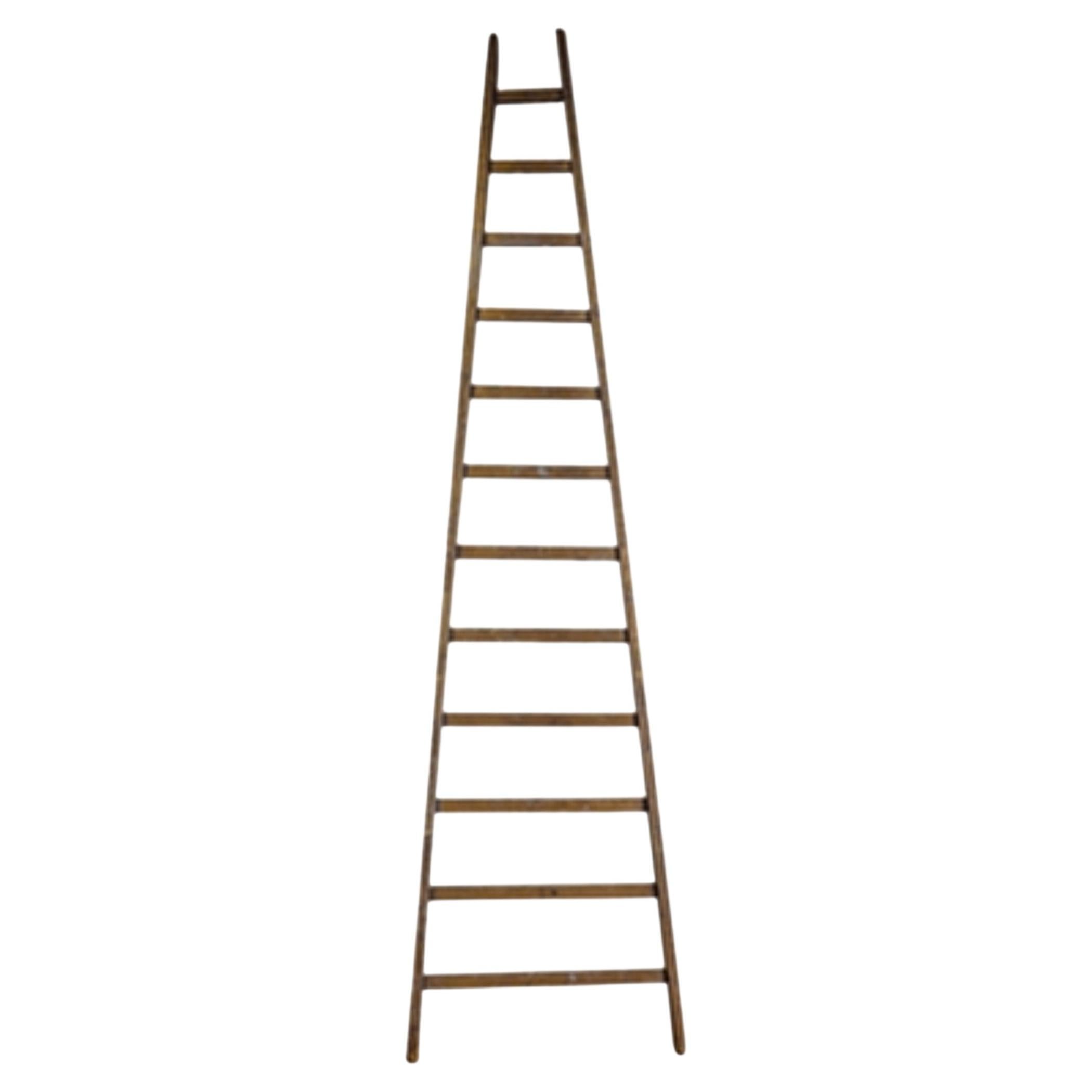 What are library ladders called?