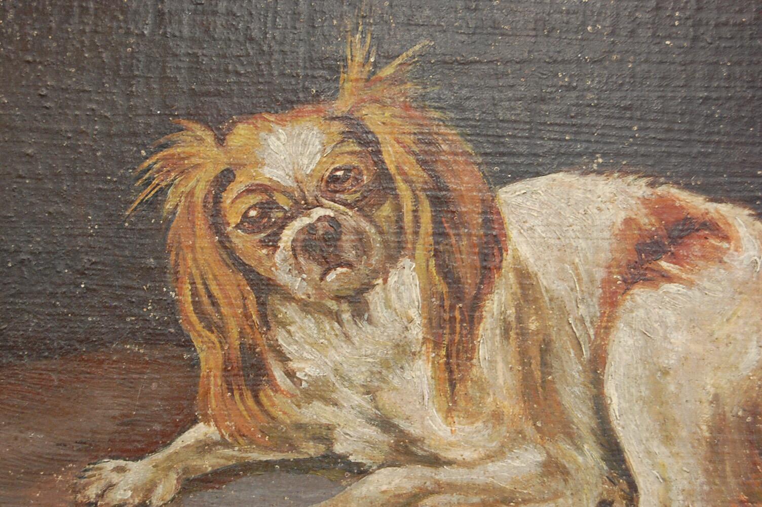 Naive oil on Canvas painting of a remarkably grumpy King Charles Spaniel. Minor paint loss, original frame. With minor losses. Signed Noir. France, circa 1880. Measurement Includes frame
Dimensions: 38cm x 27cm x 3cm.
  